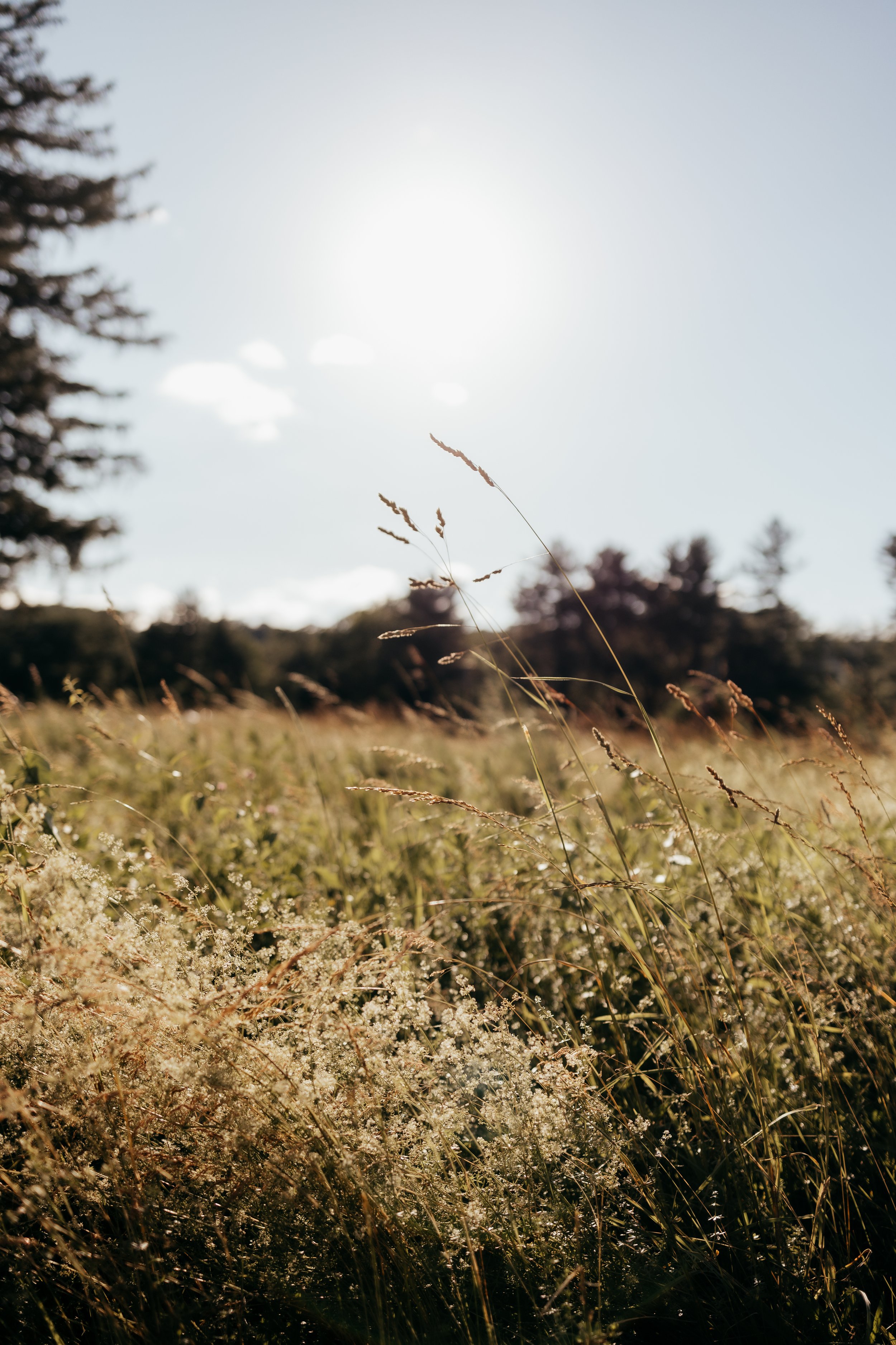 Why Talk Therapy Isn't Working for Me: When Trauma Therapy May Need to Go Deeper