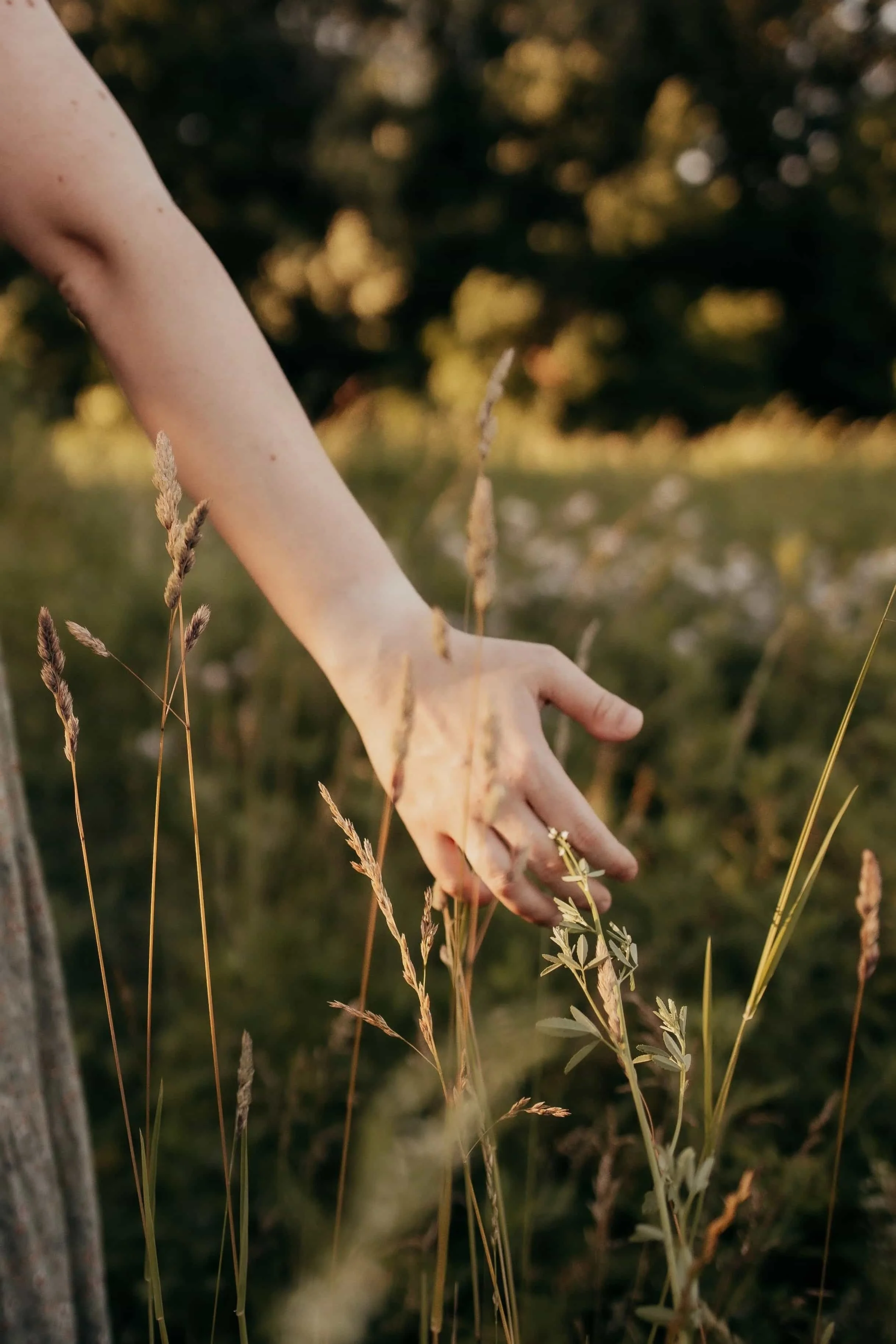 Close-up of a person's slender hand and arm reaching down through tall dry grass in a natural outdoor setting, with blurred trees and foliage in the background during what appears to be late afternoon or early evening.