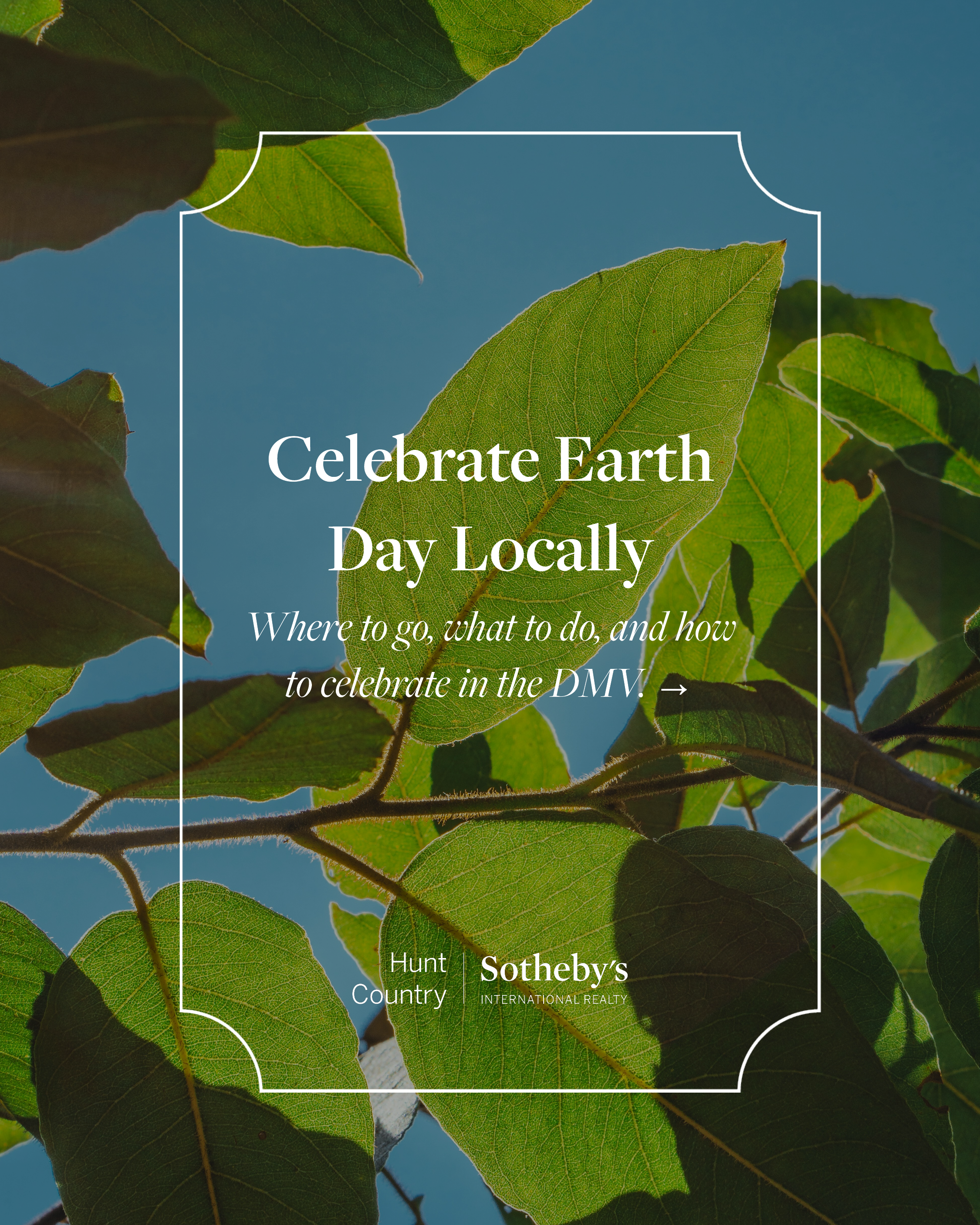 Earth Day Post - Untitled Page (1).png