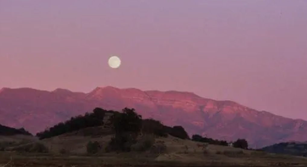 What Is the Pink Moment in Ojai? A Local Guide