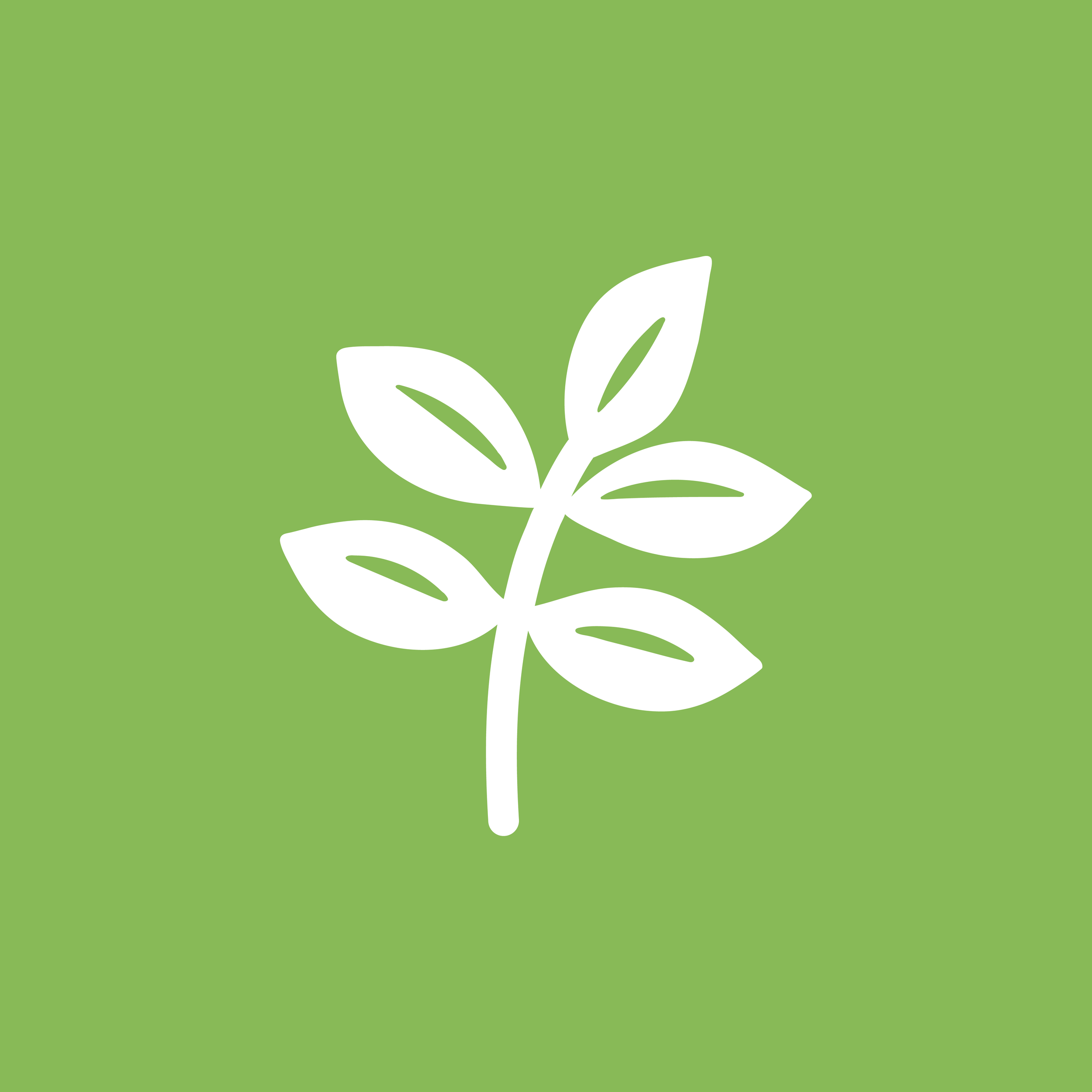 ULS web bafe-14.webp