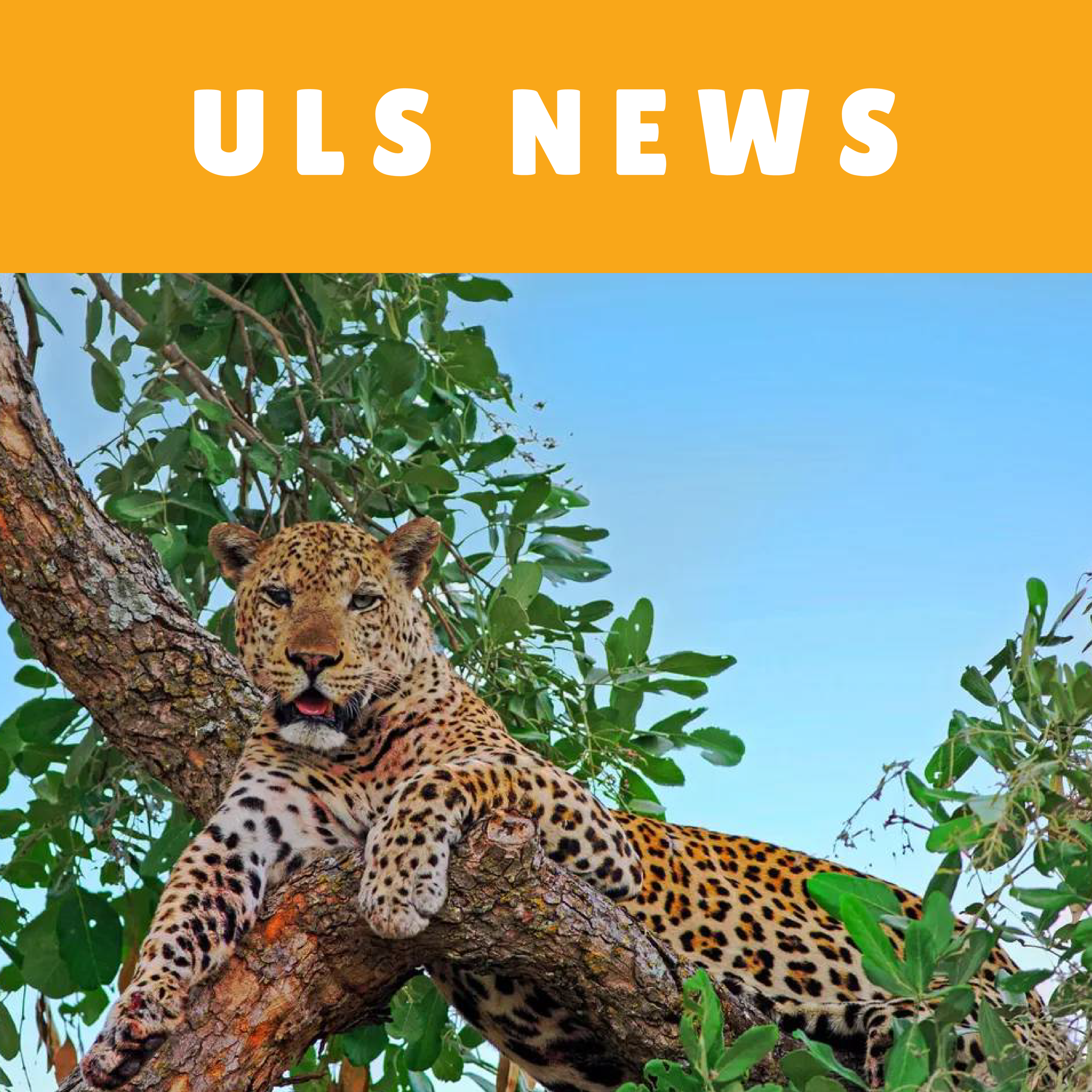 ULS web bafe-21.webp