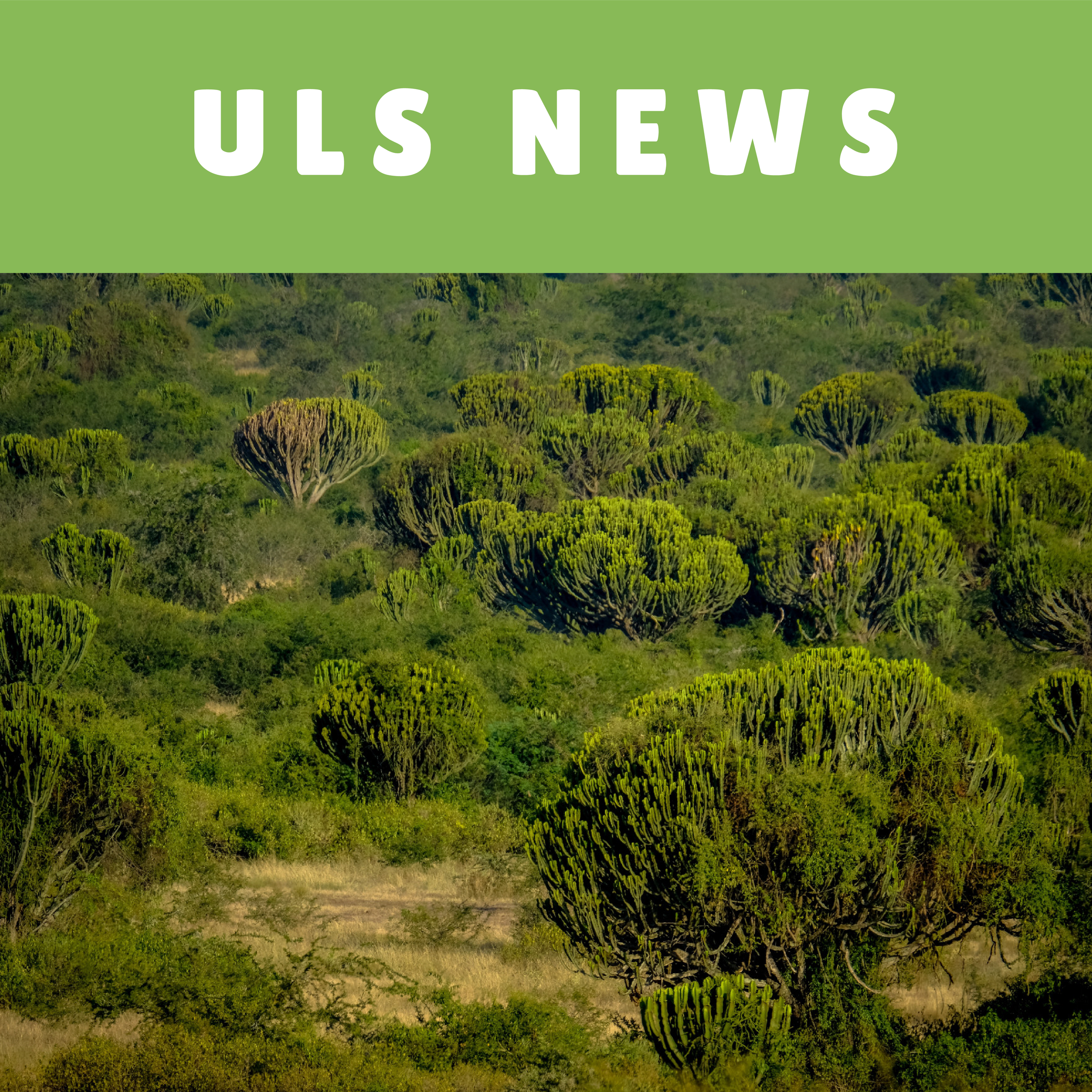 ULS web bafe-23.webp