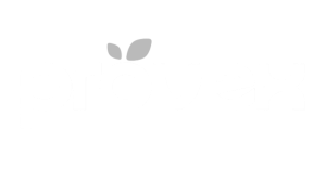 Logo blanco con la palabra 'prouvé' y un pequeño símbolo de hoja encima de la letra 'u' en fondo negro.