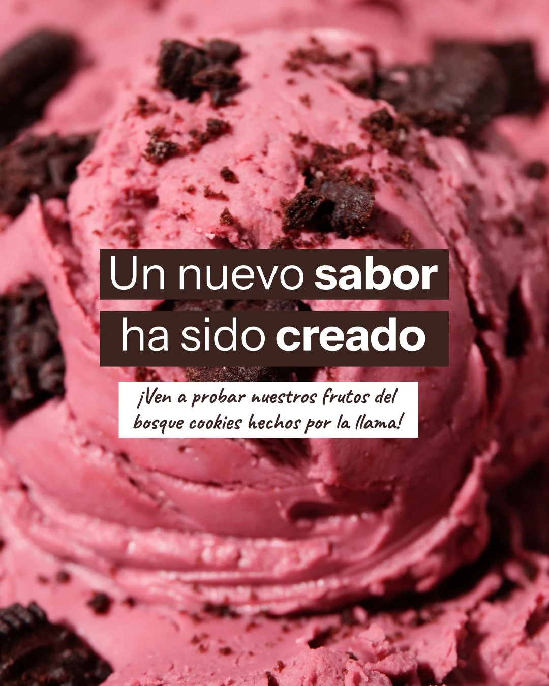 Portada 7.jpg
