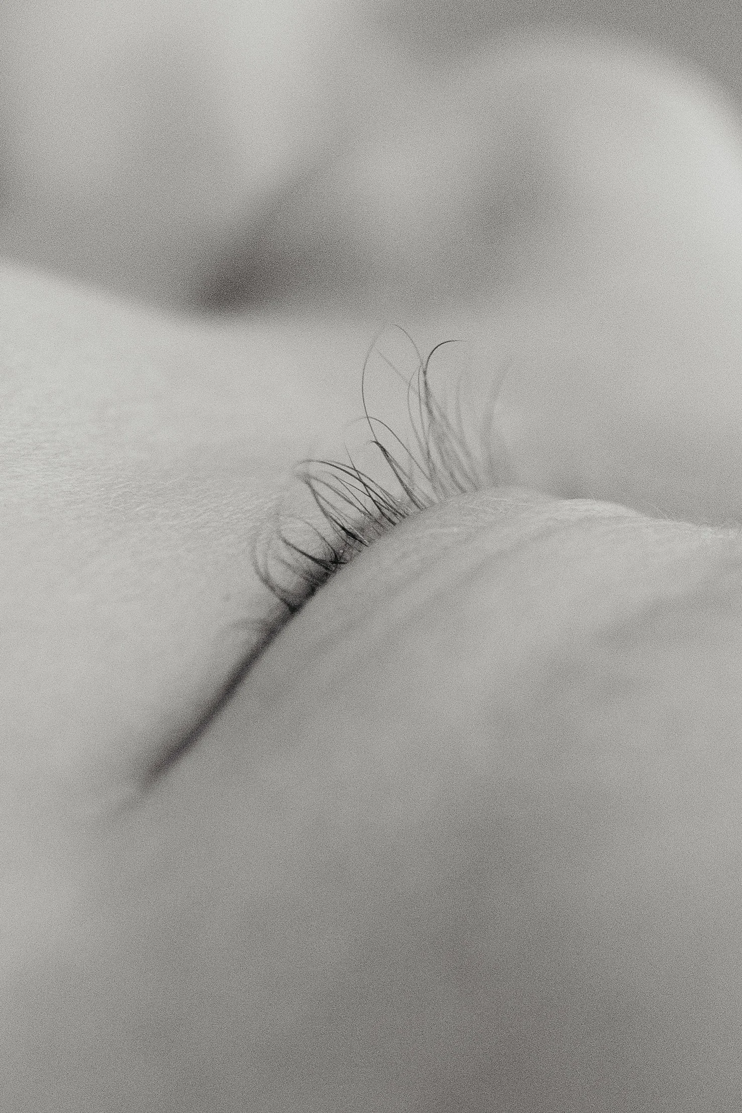 Close-up of human eyelashes, with a blurred out background.