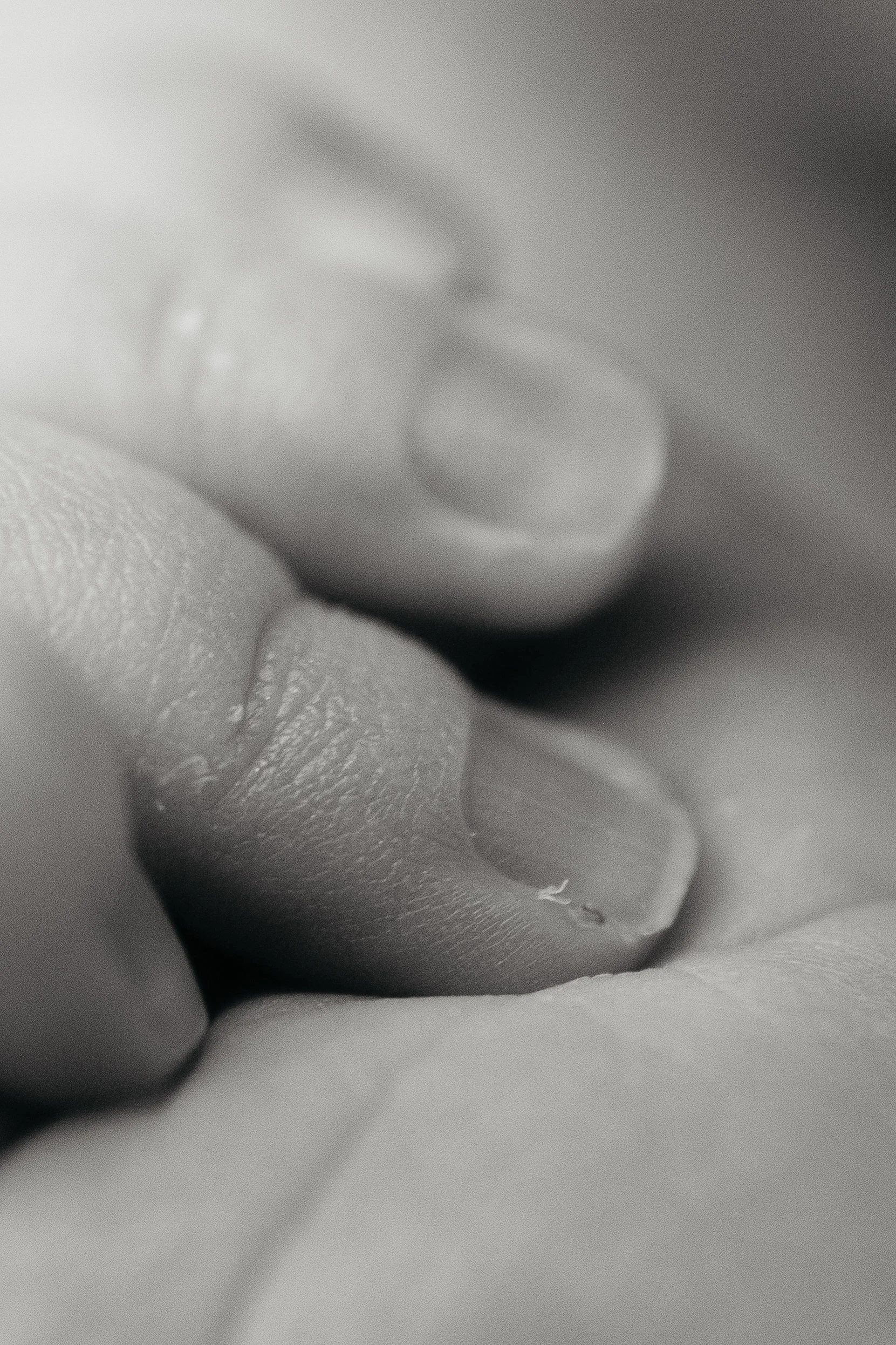 Close-up newborn photography detail of a baby’s tiny fingers, capturing the delicate features of a newborn in Melbourne.