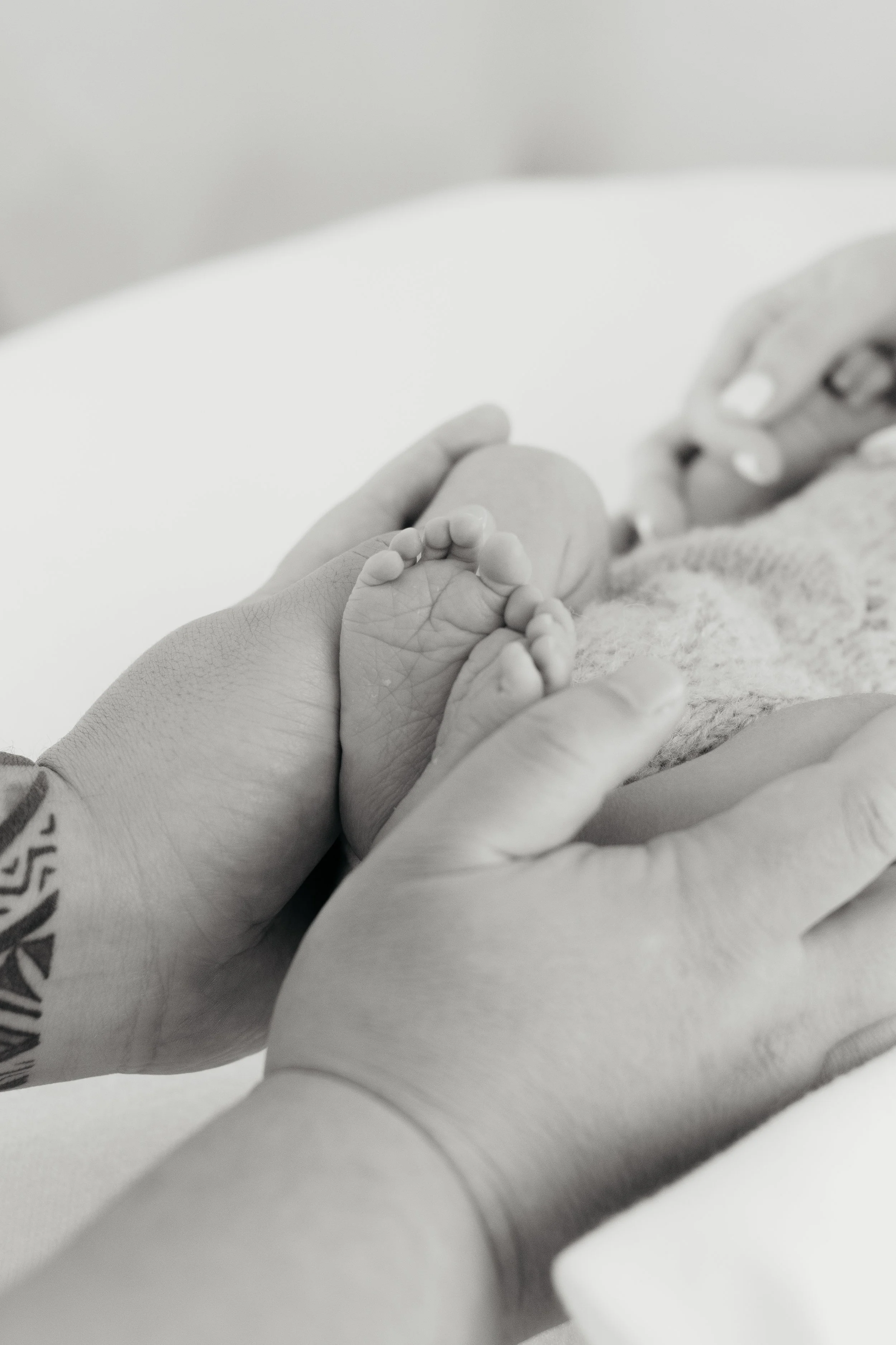 A close-up black and white photo of an adult hand holding a newborn baby's foot.