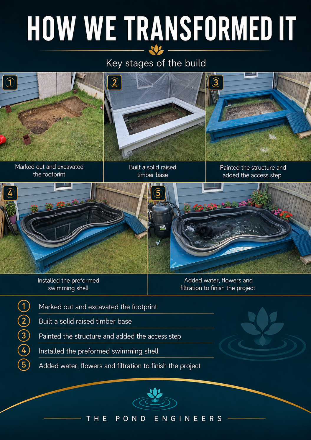 Step-by-step infographic showing how to build a pond: excavating the footprint, building a timber frame, painting the frame, installing a swimming shell, and adding water with flowers and filtration.