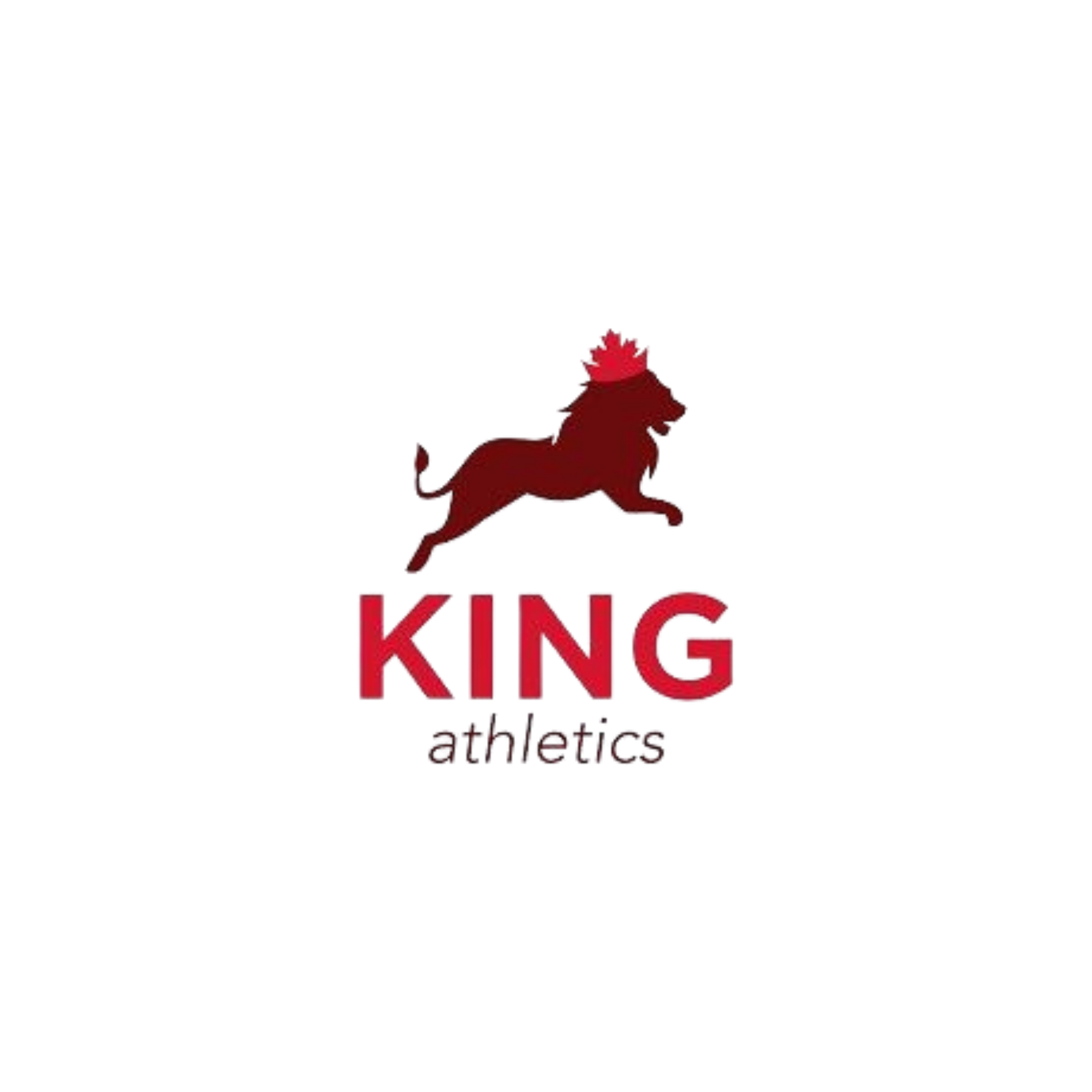 Kicking agility logo featuring a red dog in mid-jump with the text 'Kicking agility' and 'shadows' written below.