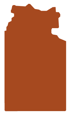 A silhouette of a bear with a brown fill and a black outline.
