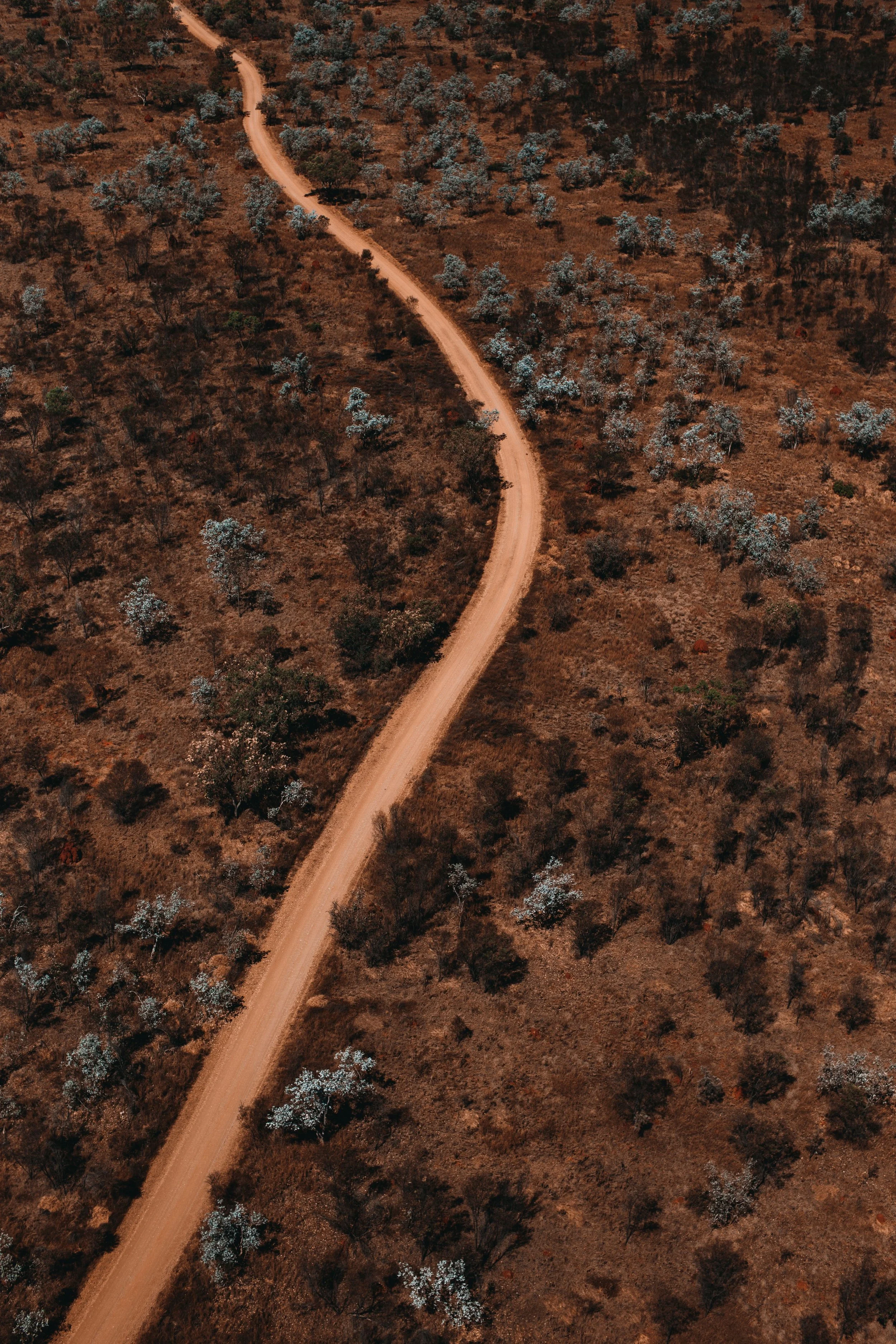 An aerial view of a winding dirt road through a dry landscape with scattered trees.