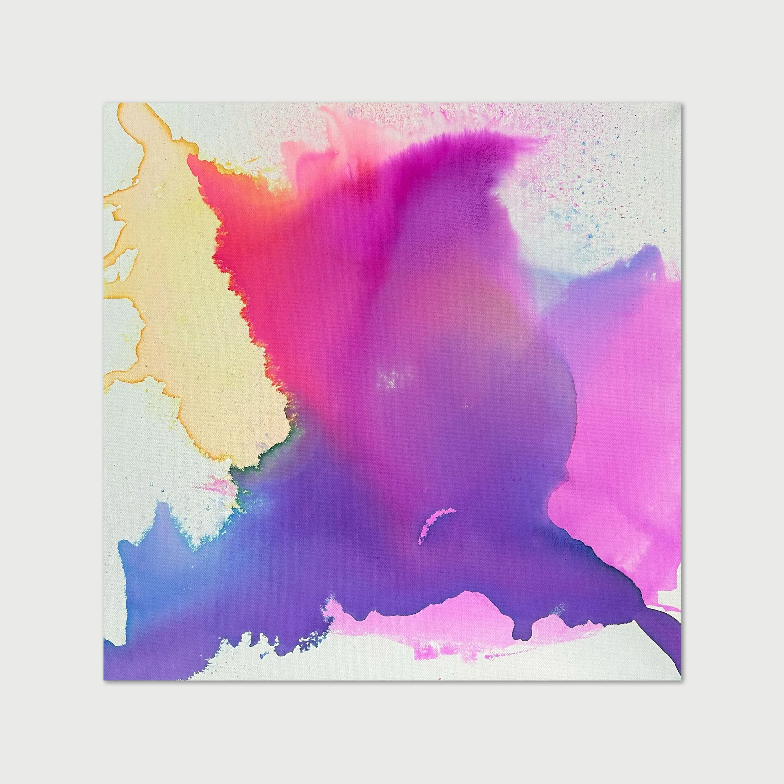 Cloud Bird