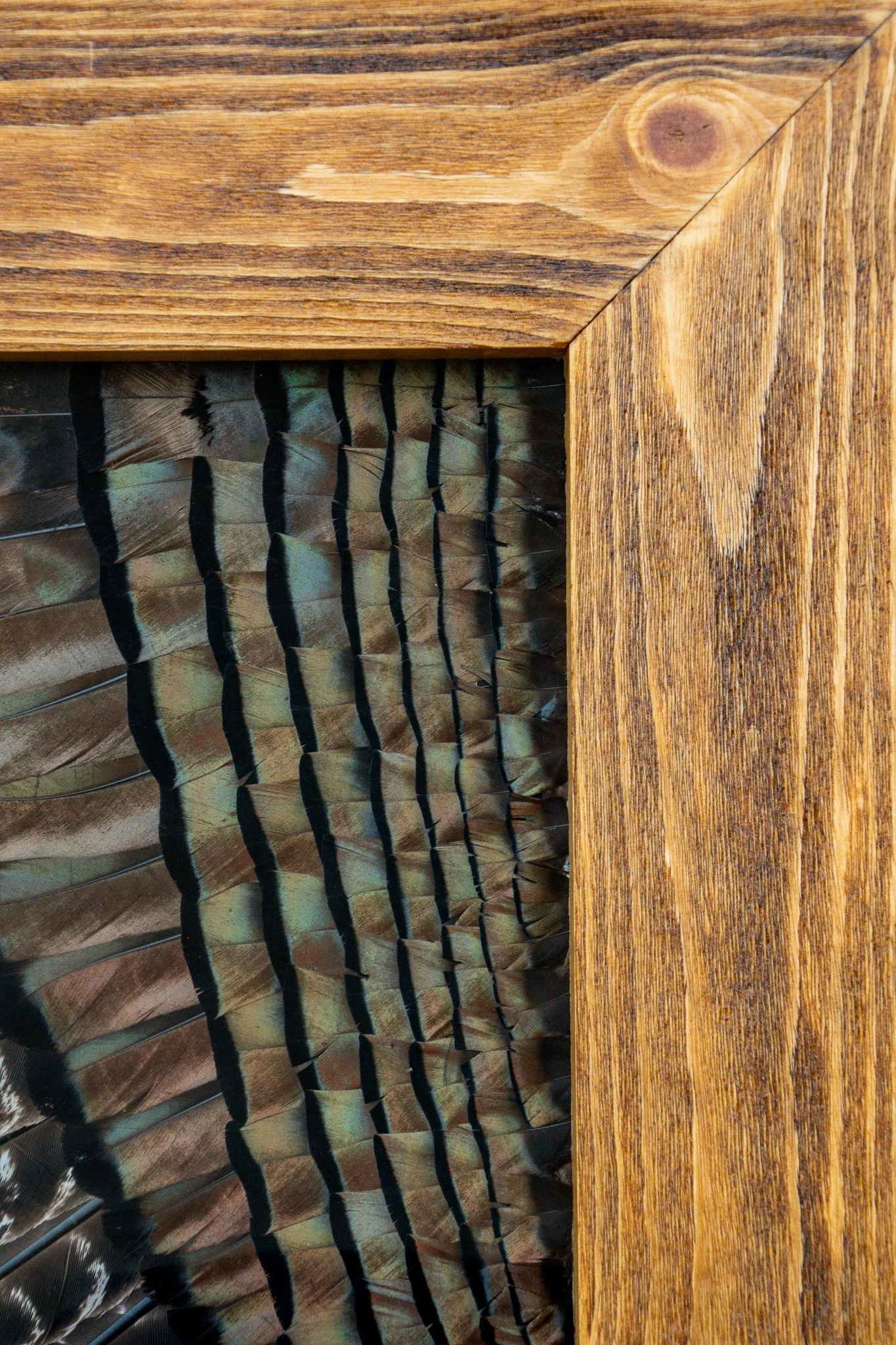 Close-up of a wooden frame with a carved wooden border, and a side of a peacock feather behind the frame.