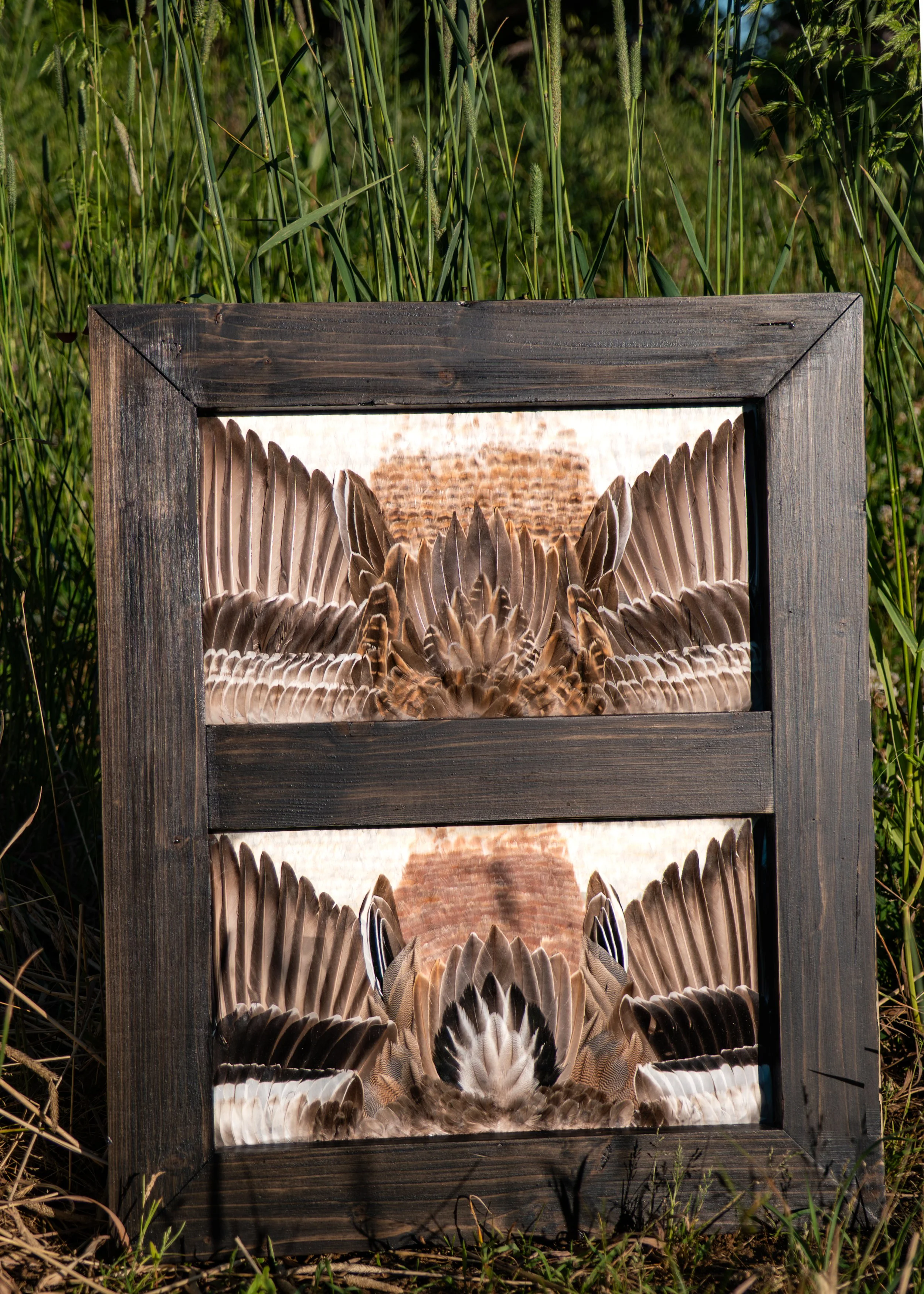 Double Waterfowl Frame