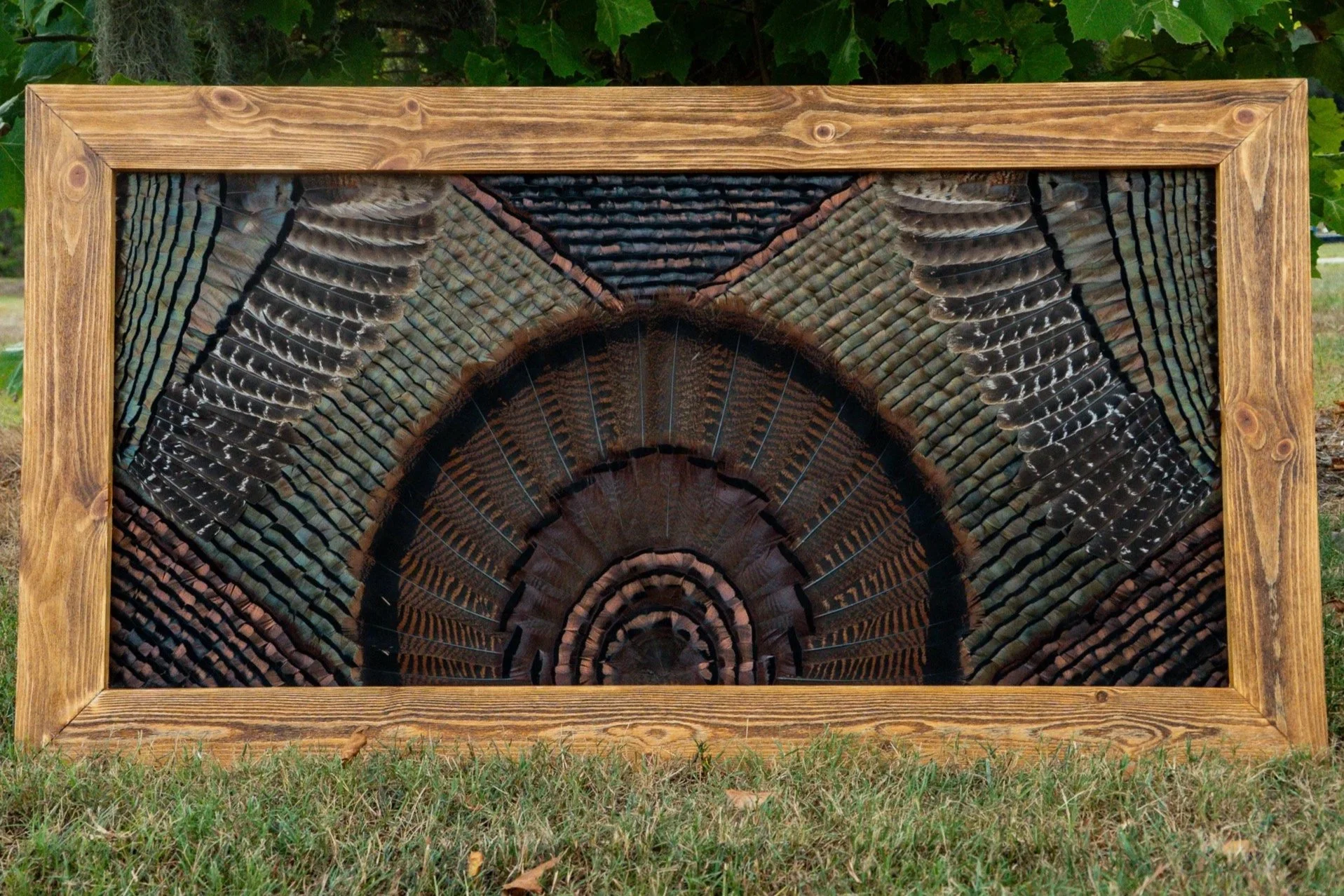 Framed piece of art featuring a spiral pattern of feathers, with a wooden frame, placed outdoors on the grass with green foliage in the background.