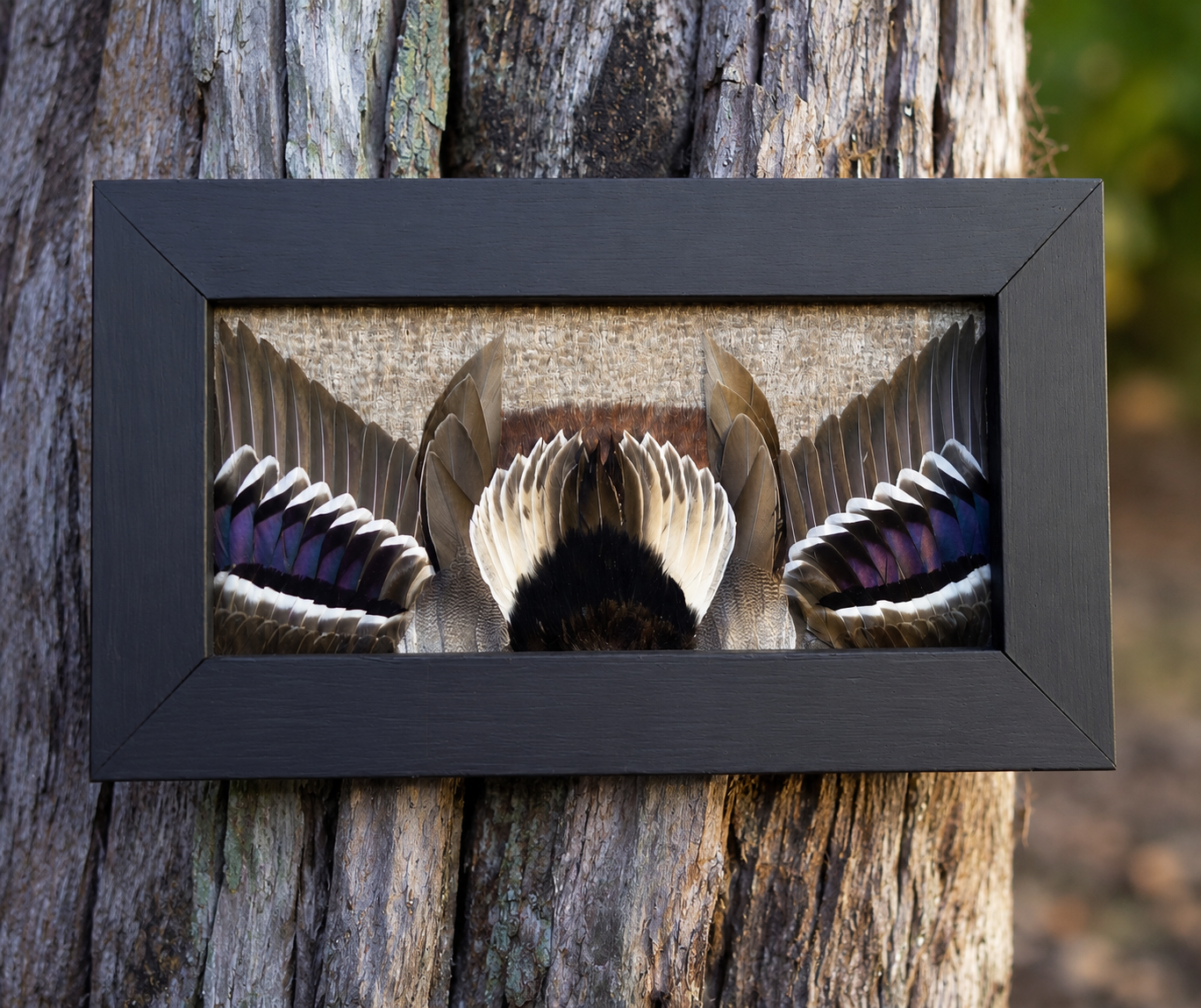 Single Waterfowl Frame