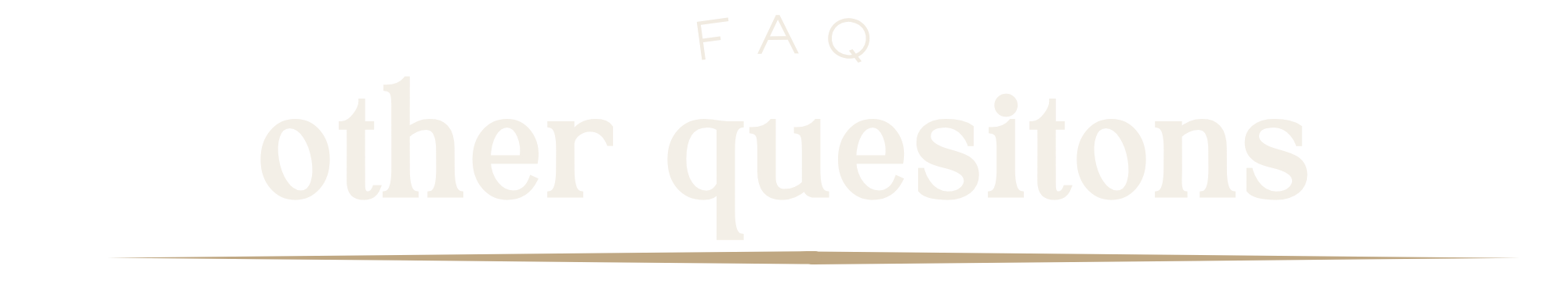 FAQ section header with the words 'other questions' on a black background