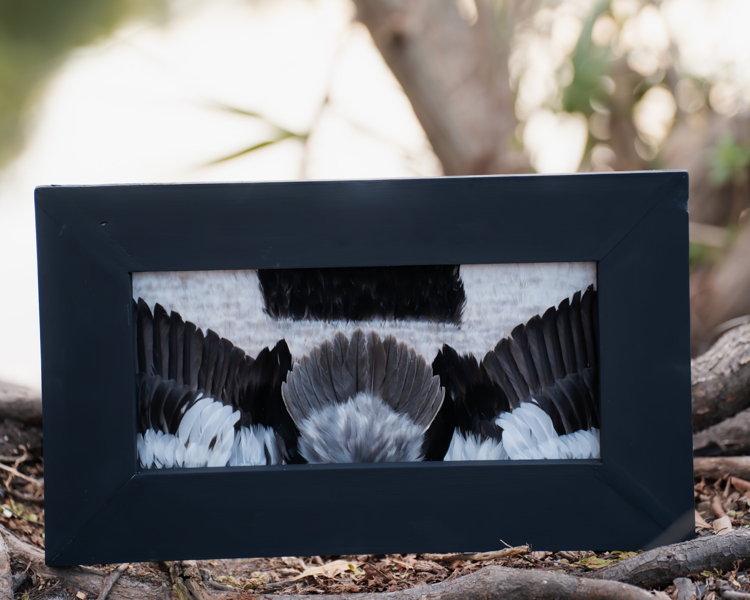 Bird feeder with black and white feathers of a bird inside, placed on the ground amidst fallen leaves and twigs, with blurred green and brown foliage in the background.