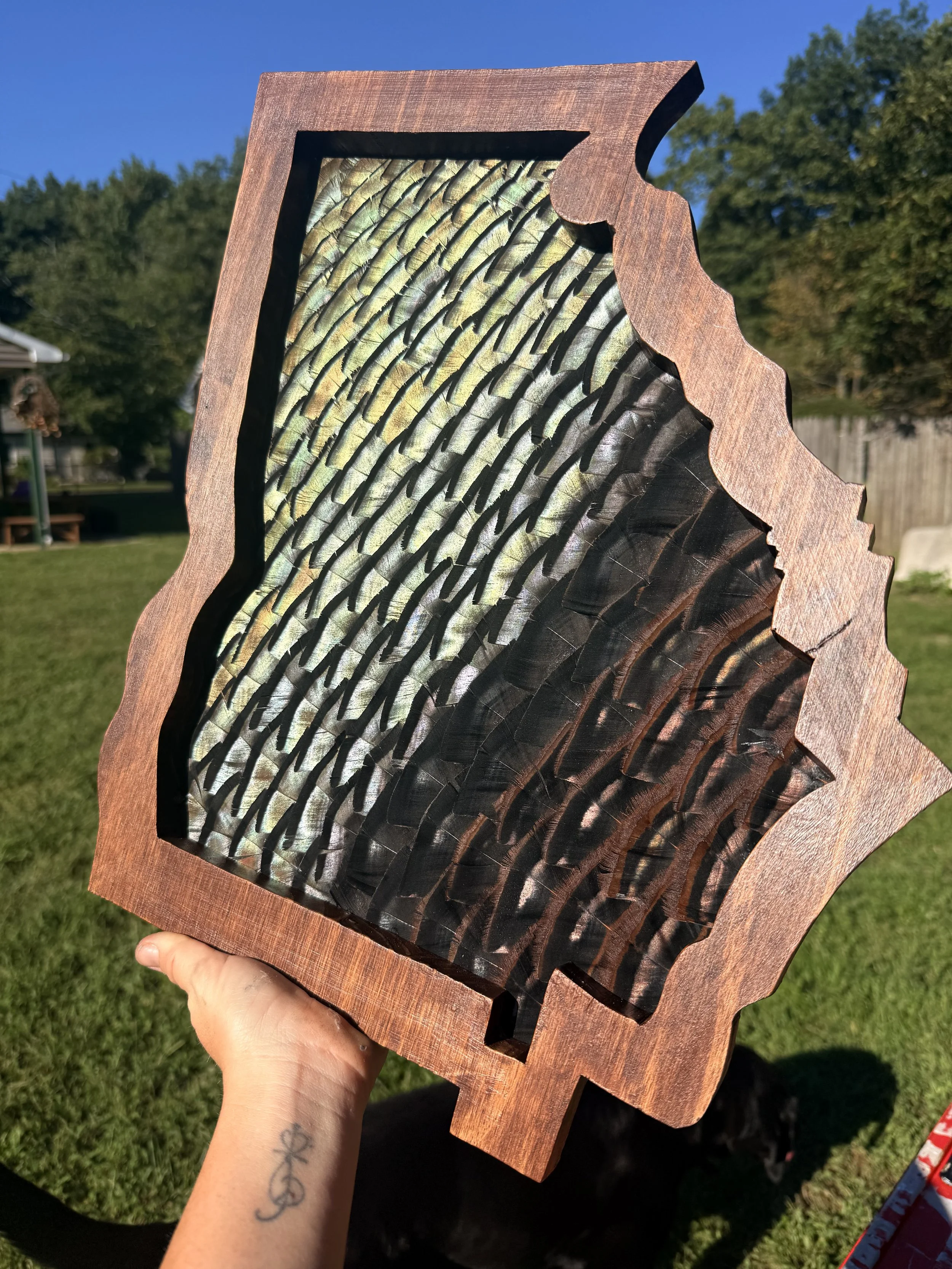 State Frame