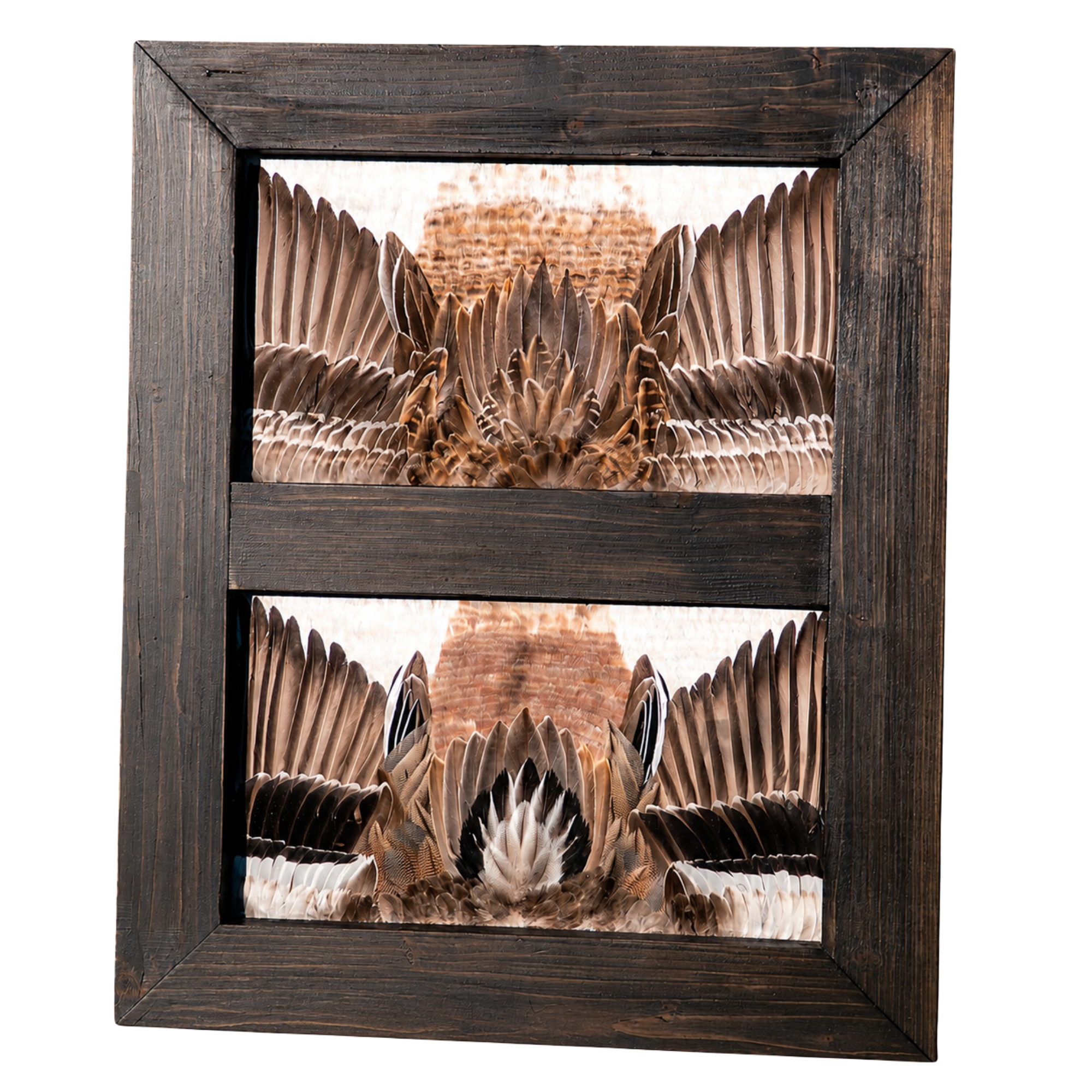 A framed three-dimensional sculpture of a butterfly with intricate wing details, mounted on a wooden frame.