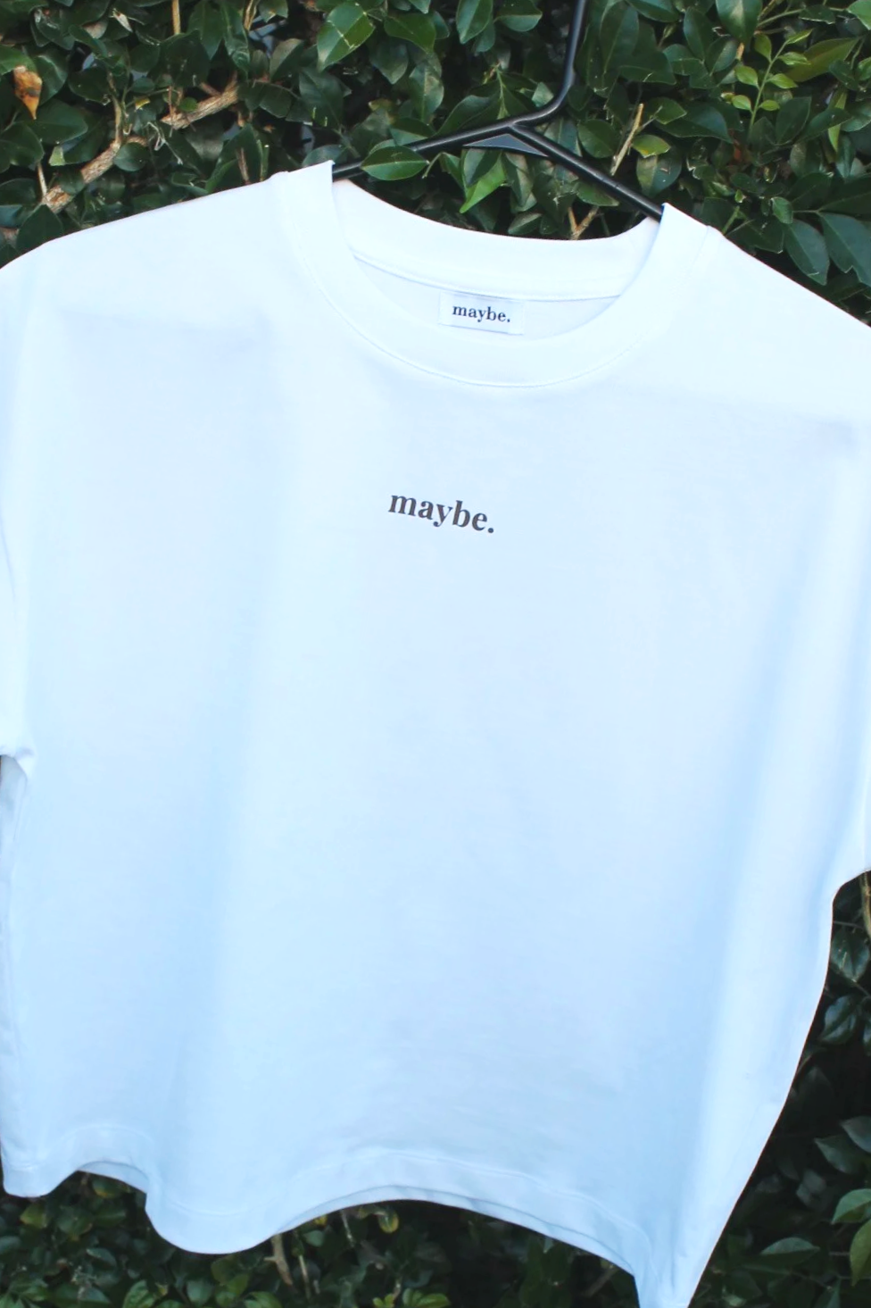 IMG_8624.png