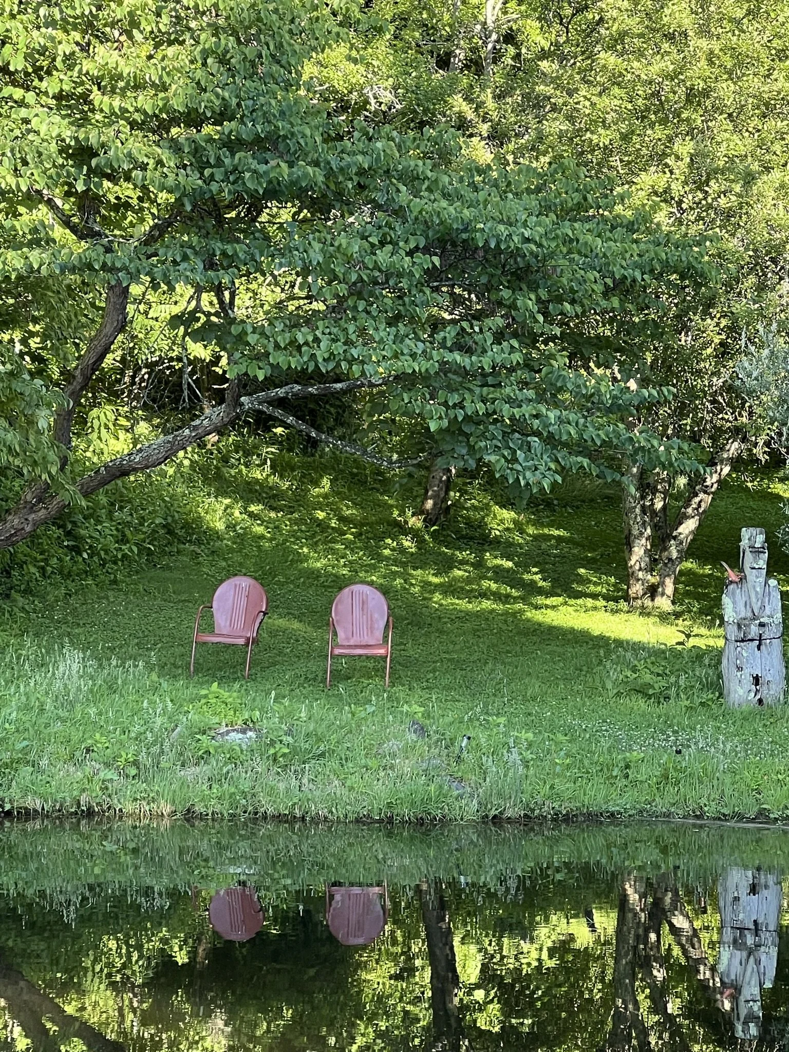 lake.jpg