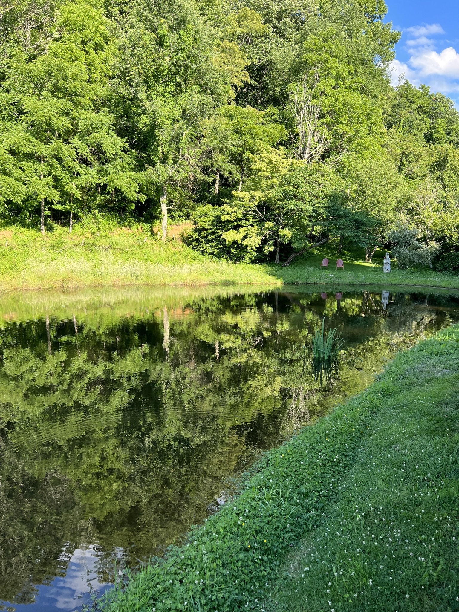 lake best.jpg