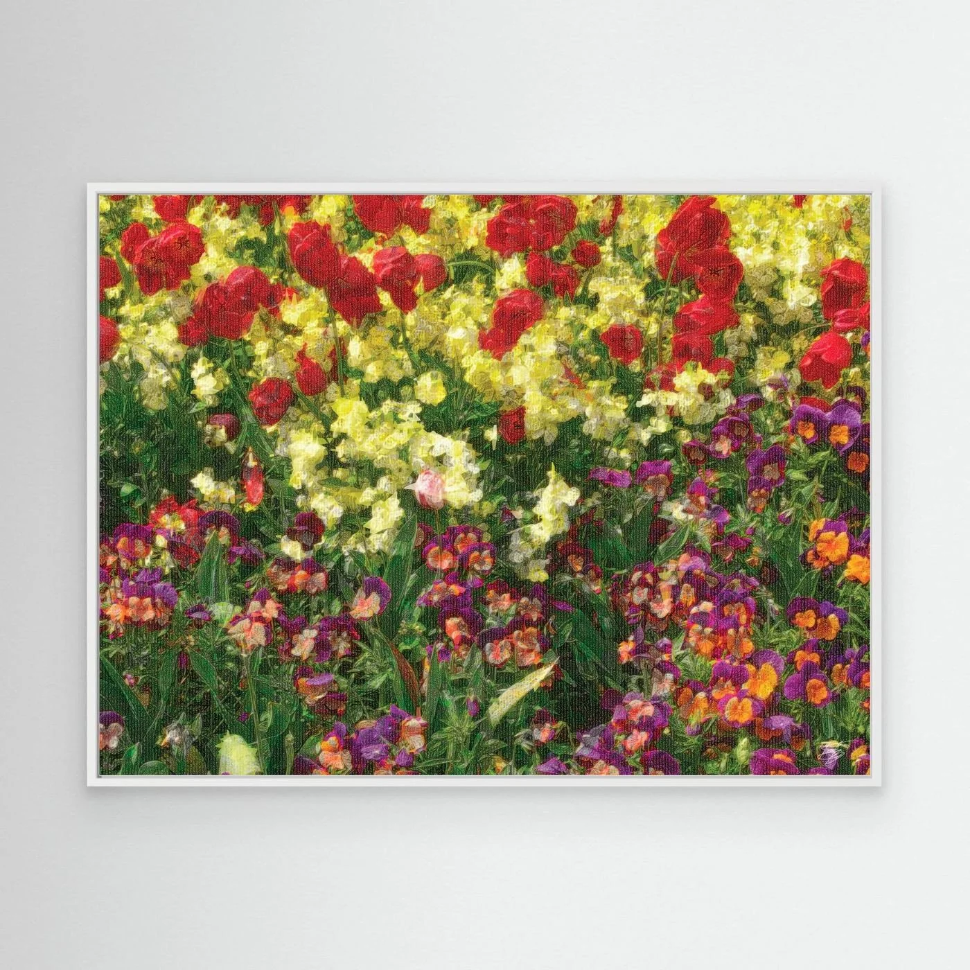 Impressionist art print showcasing a field of spring flowers with oil painting textures, red tulips, yellow blossoms, and purple pansies, framed and ready to hang. With white frame