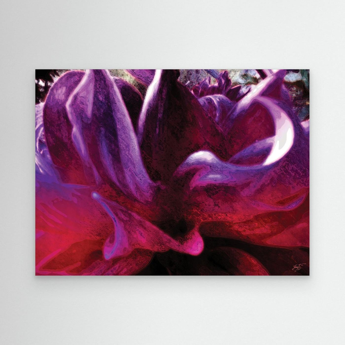 Abstract fine art print showcasing a close-up of dramatic fluid floral shapes and textures in rich purple, violet, and deep magenta tones, framed and ready to hang.