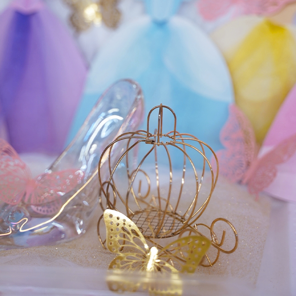 Princess Party — “The Princess Celebration”