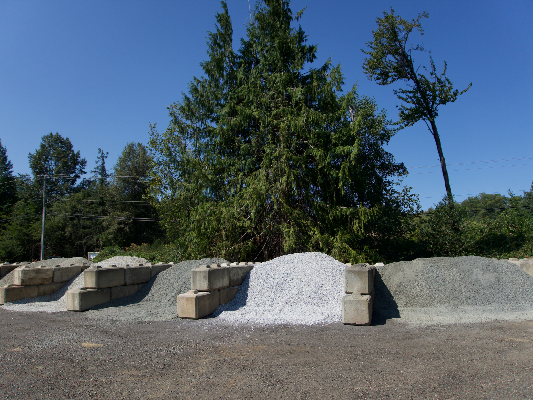 Landscape with tall pine trees against a clear blue sky, with a row of stacked concrete blocks and gravel in the foreground.