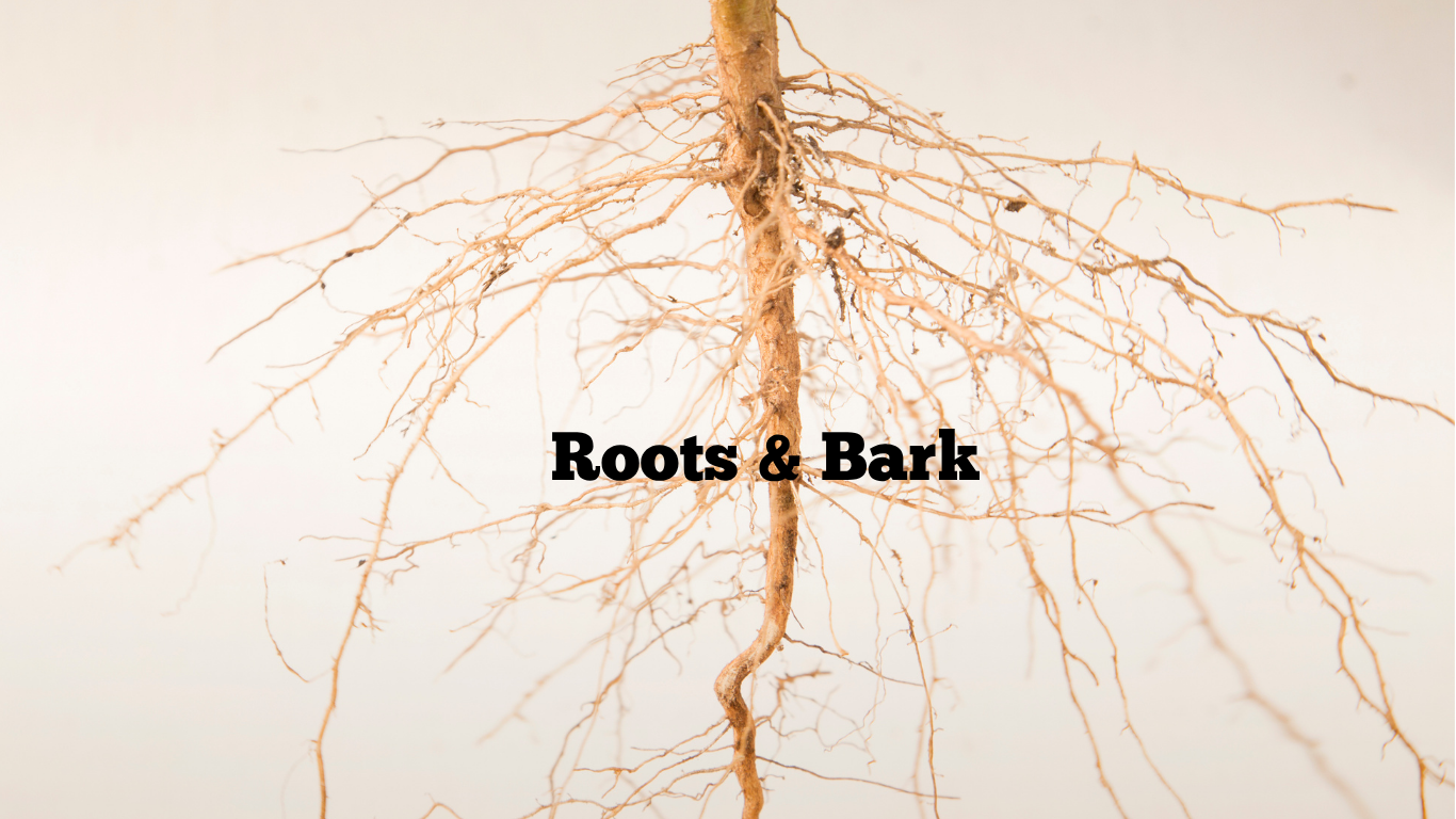 Roots & Bark