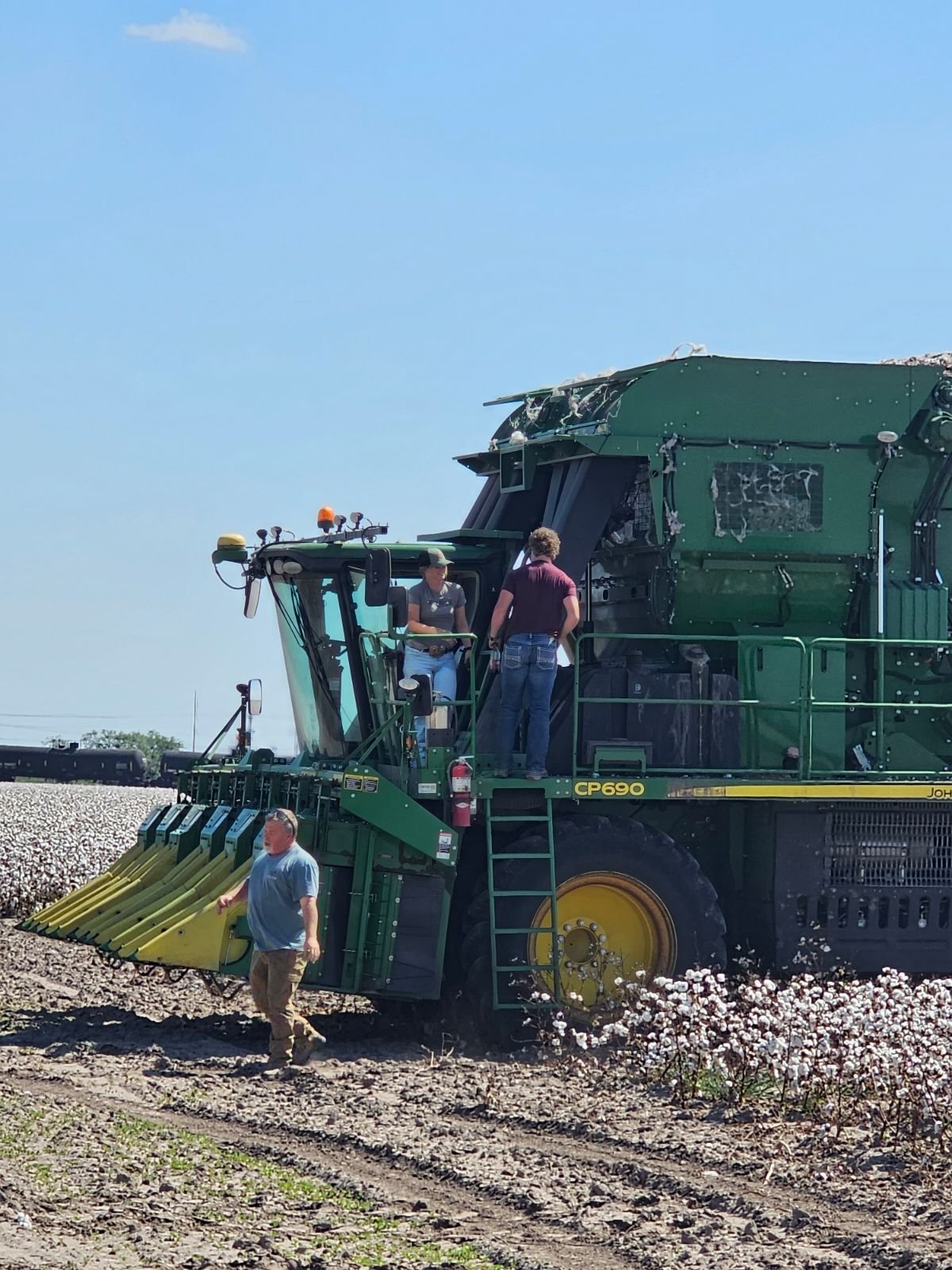 Cotton farm with a large green cotton harvester machine in use, three people working on the machine, and bright sunny weather.