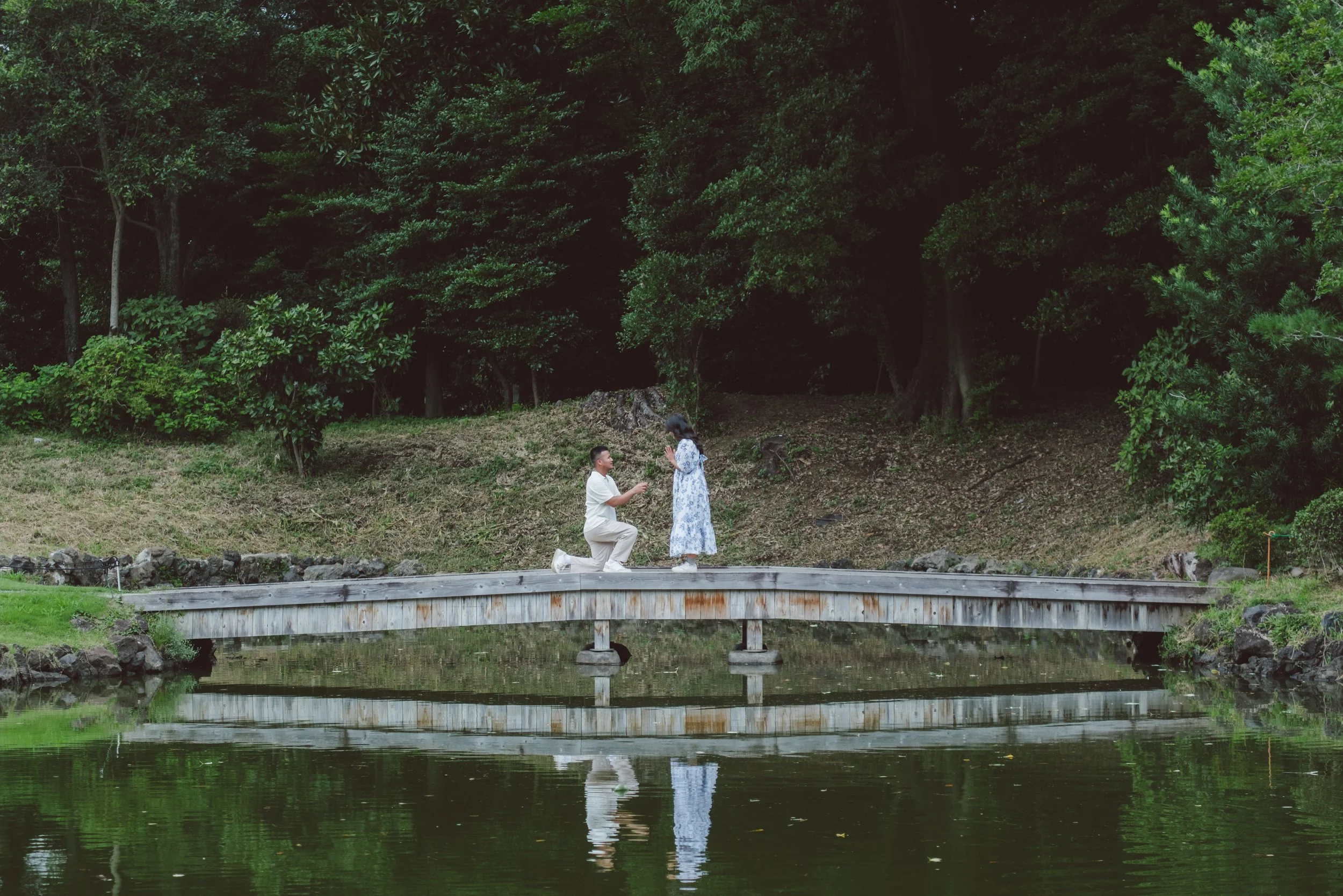 A man proposing marriage to a woman on a small bridge over a pond in a lush green park.
