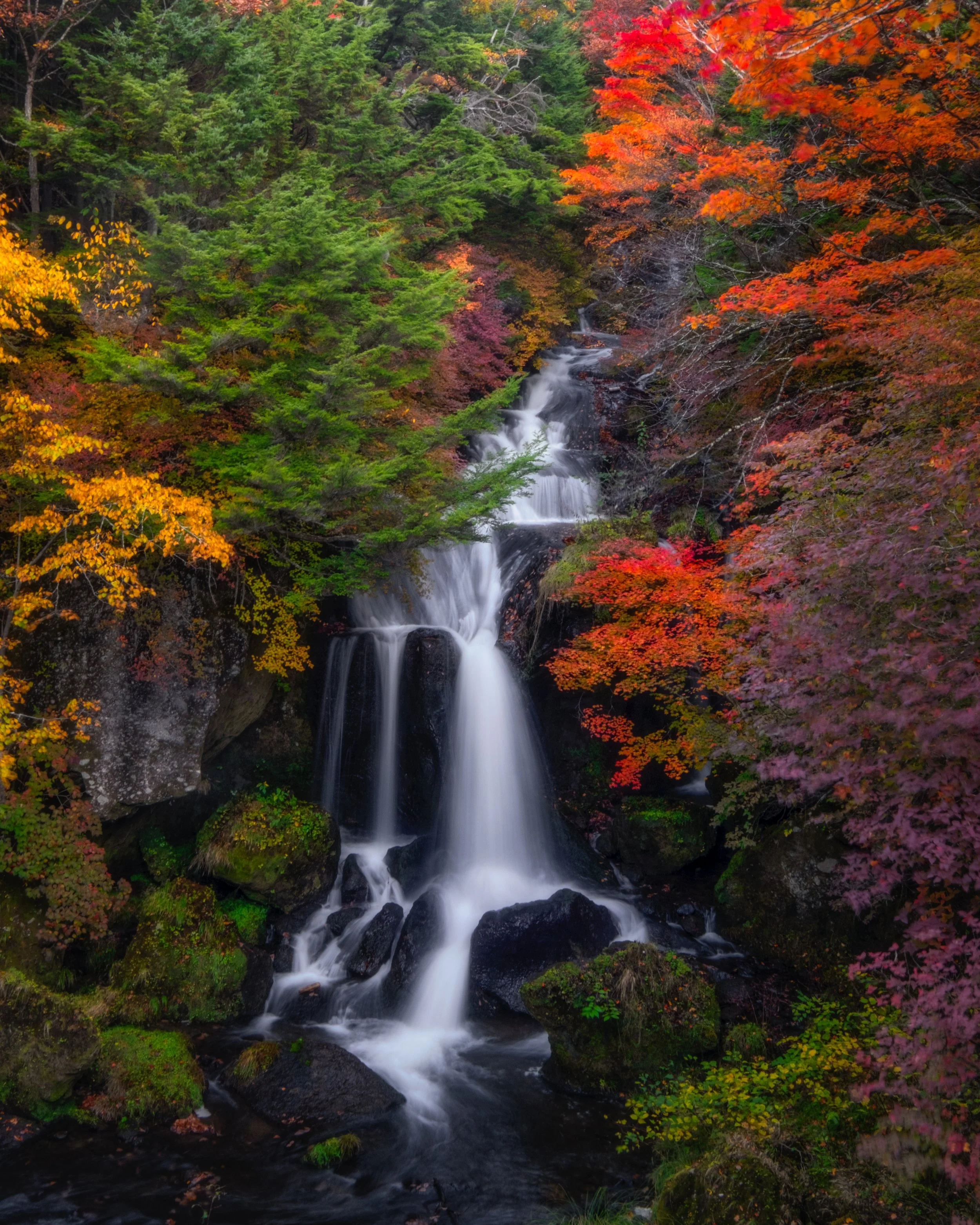 A waterfall flowing through a forest with trees displaying vibrant autumn colors, including green, yellow, orange, and red leaves.
