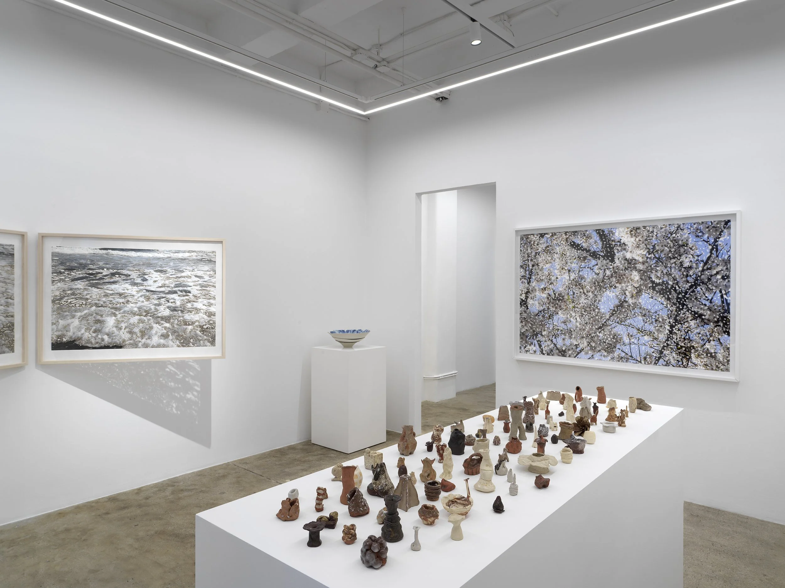 Alison Bradley Projects_Yuki Tawada_09,26_0031.jpg