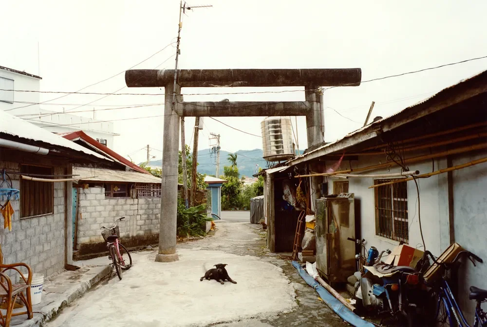 A narrow alley in a neighborhood with traditional and modern houses, a large wooden torii gate, a black dog lying on the ground, and various bicycles and household items.