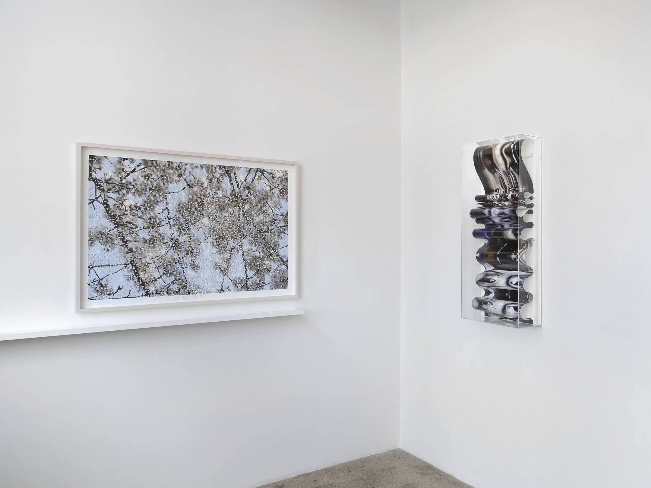 Alison Bradley Projects_Yuki Tawada_09,26_0062.jpg