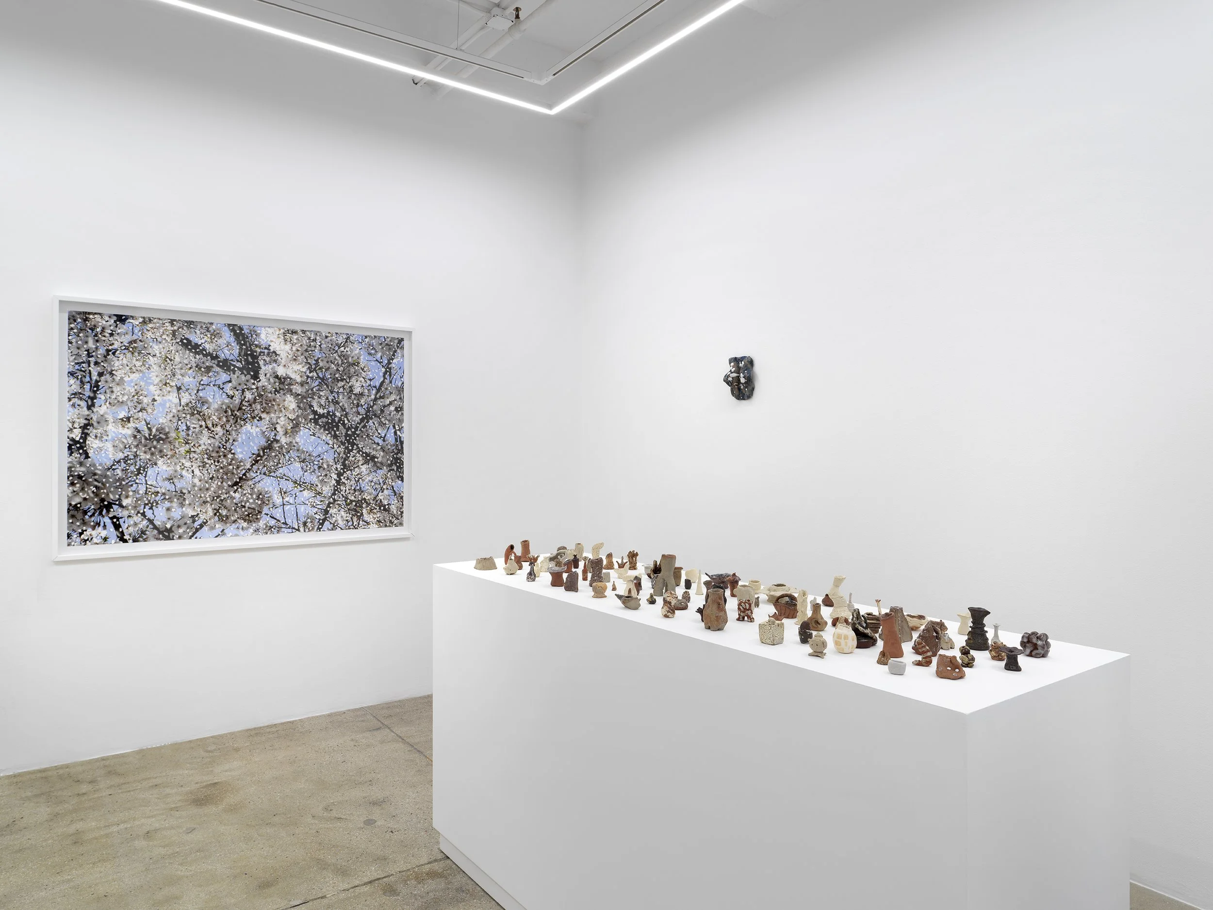 Alison Bradley Projects_Yuki Tawada_09,26_0018.jpg