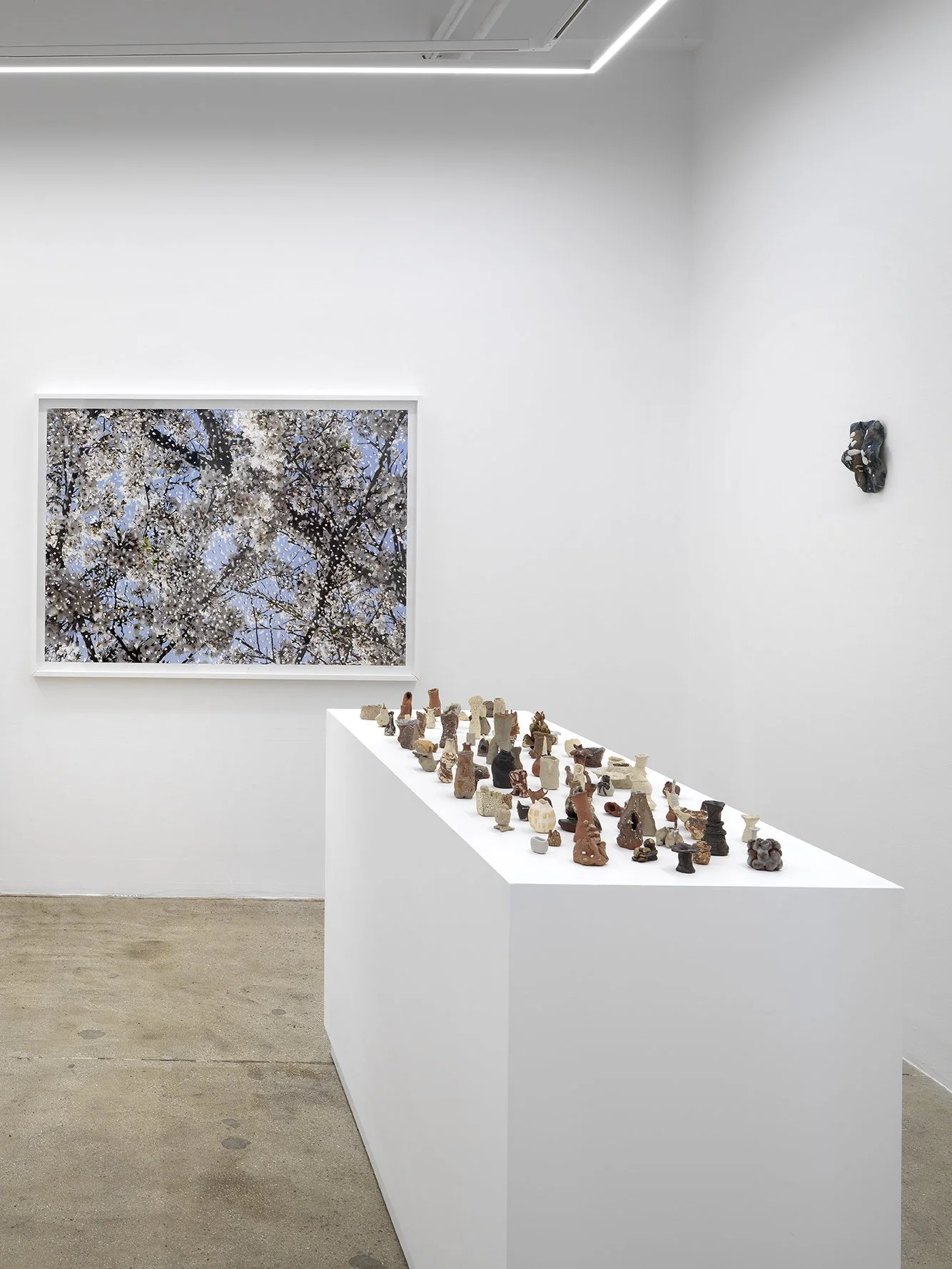 Alison Bradley Projects_Yuki Tawada_09,26_0029.jpg