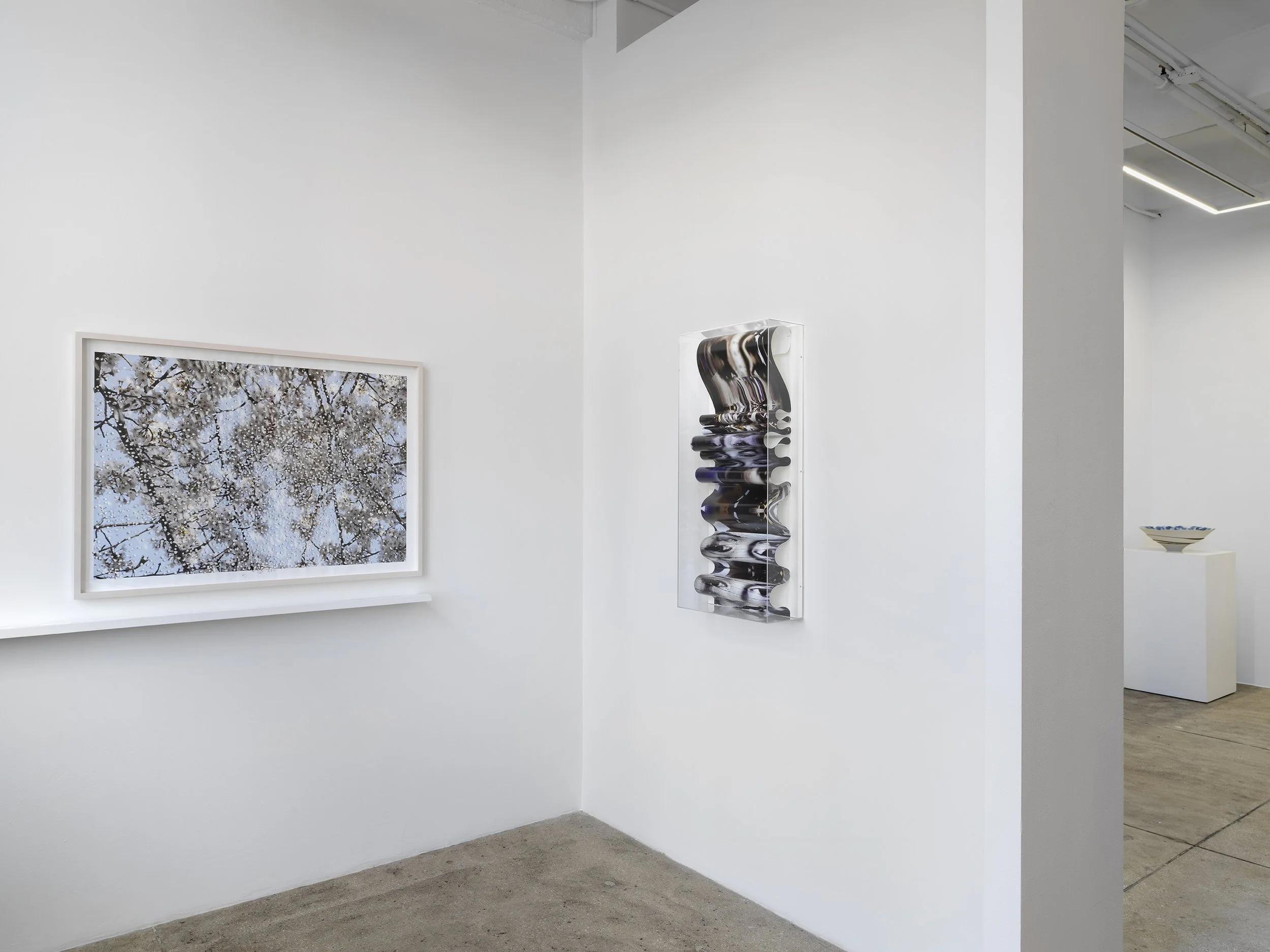 Alison Bradley Projects_Yuki Tawada_09,26_0061.jpg