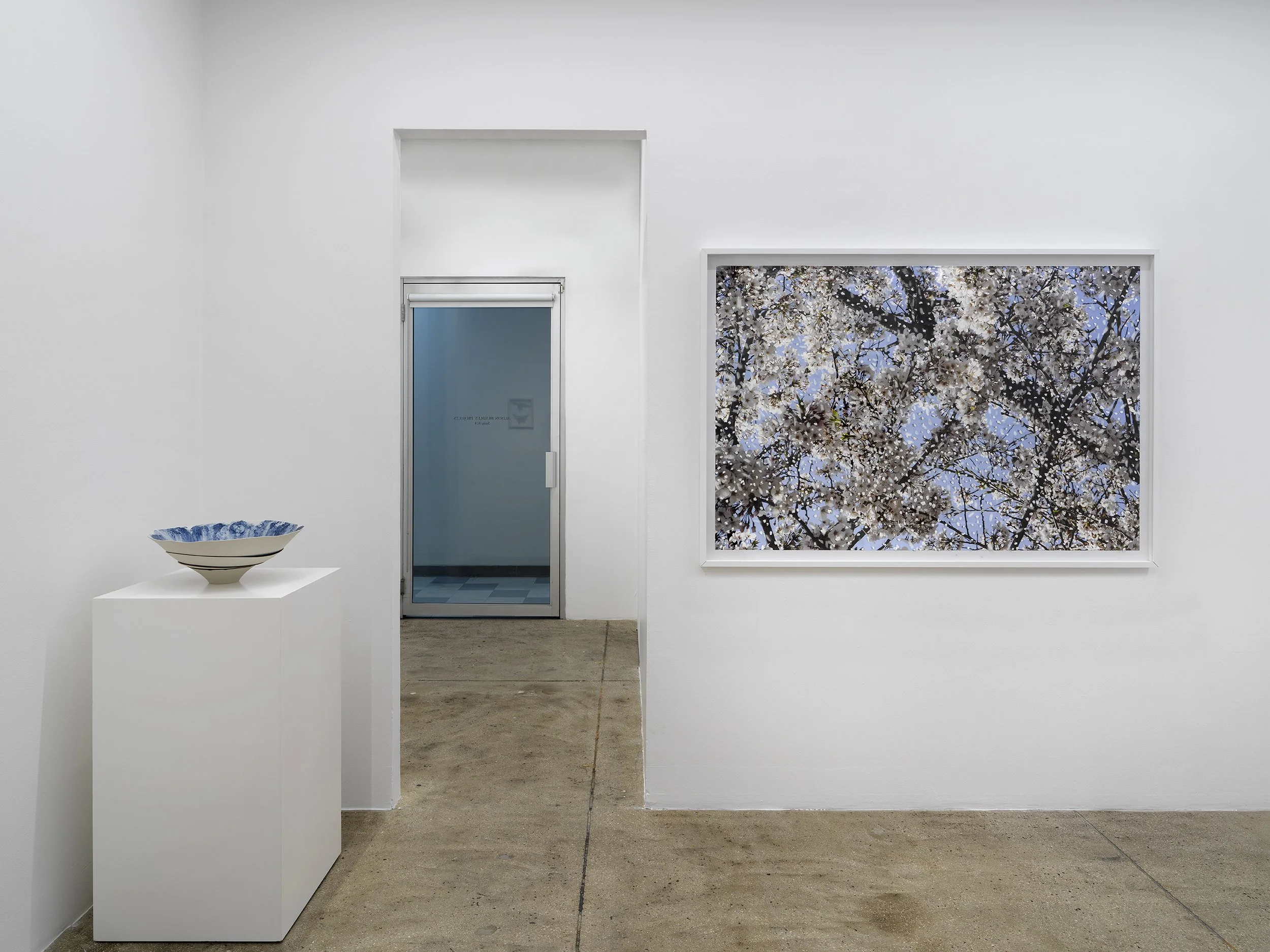 Alison Bradley Projects_Yuki Tawada_09,26_0024.jpg