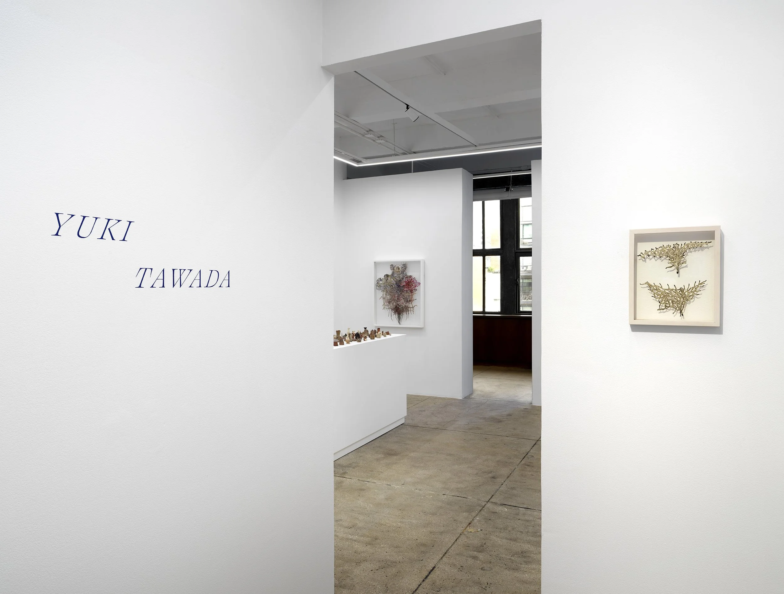 Alison Bradley Projects_Yuki Tawada_09,26_0003.jpg