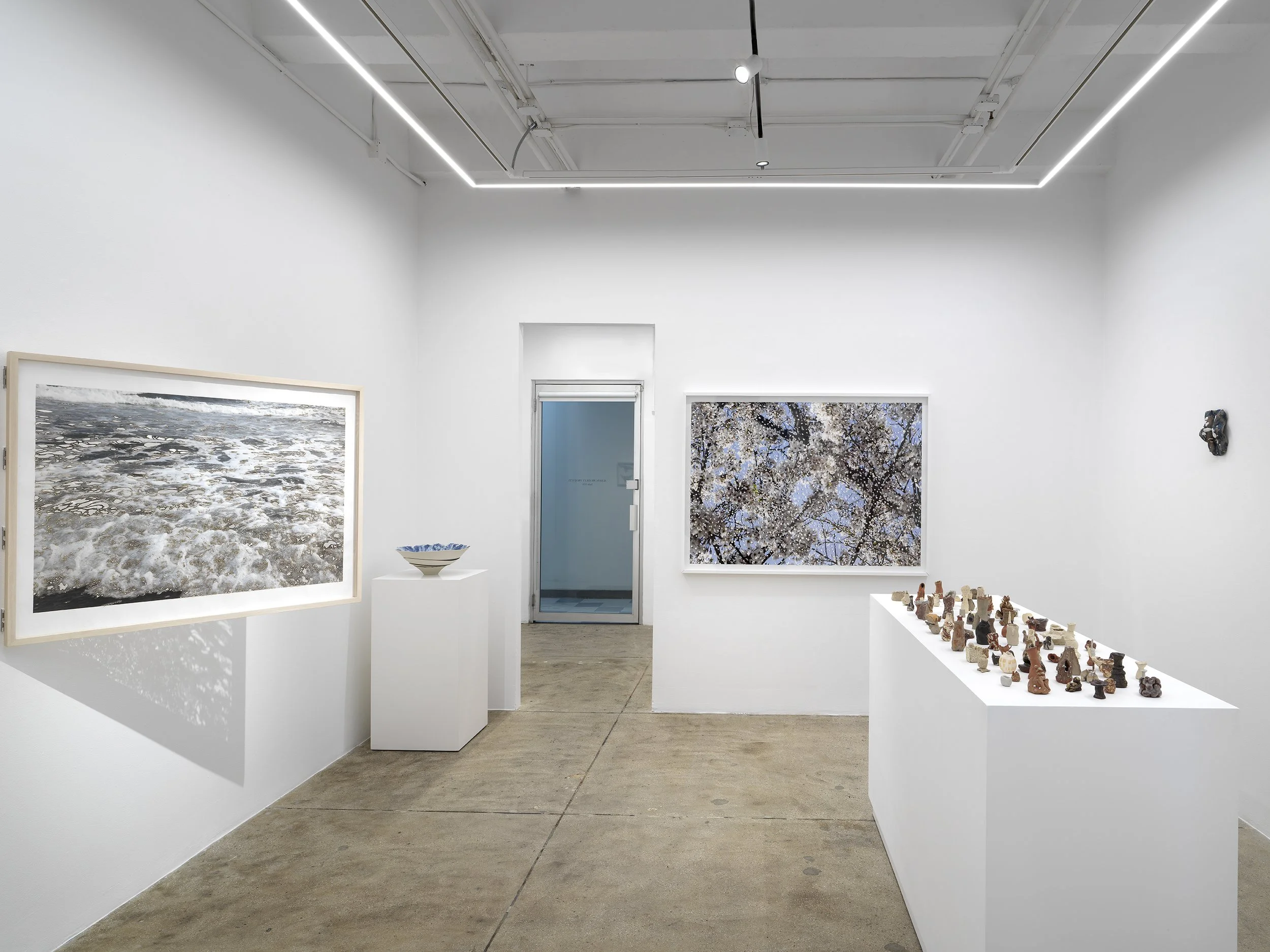 Alison Bradley Projects_Yuki Tawada_09,26_0028.jpg