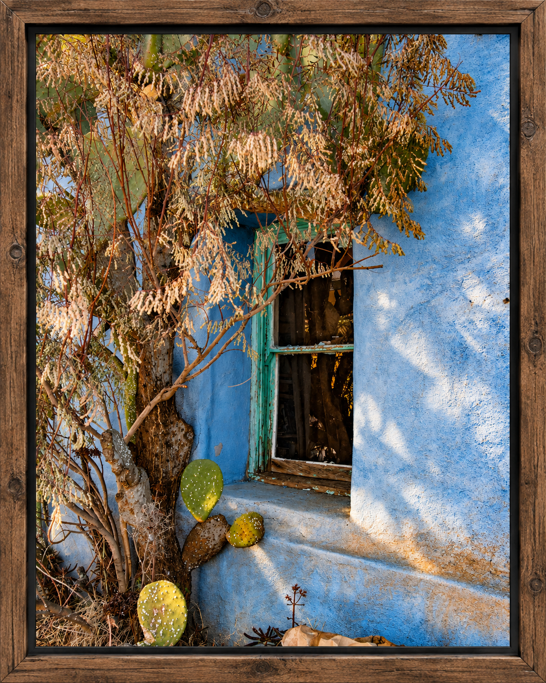 Framed Turquoise Adobe Window with Cactus.png