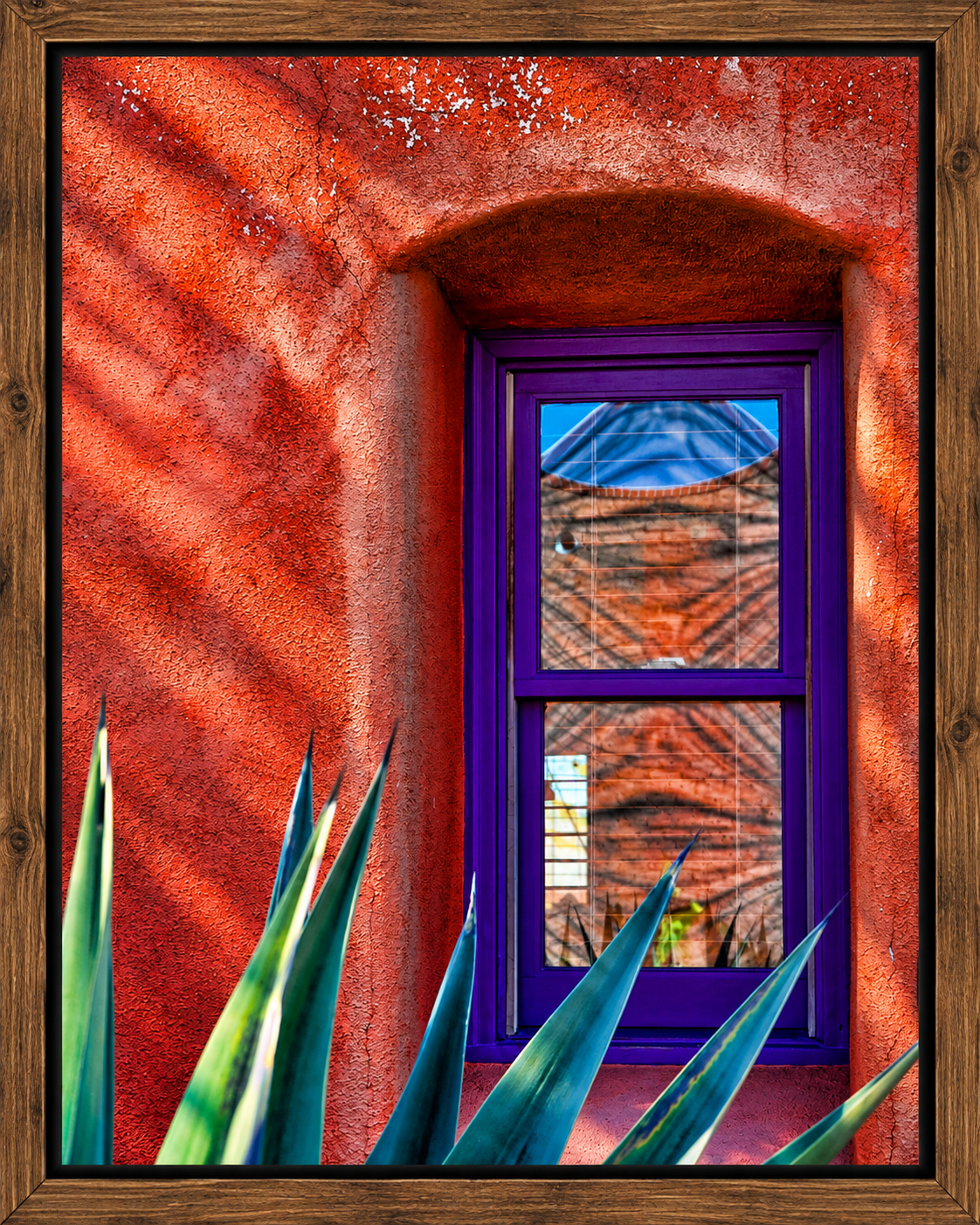 Framed Terracotta Window with Agave.png