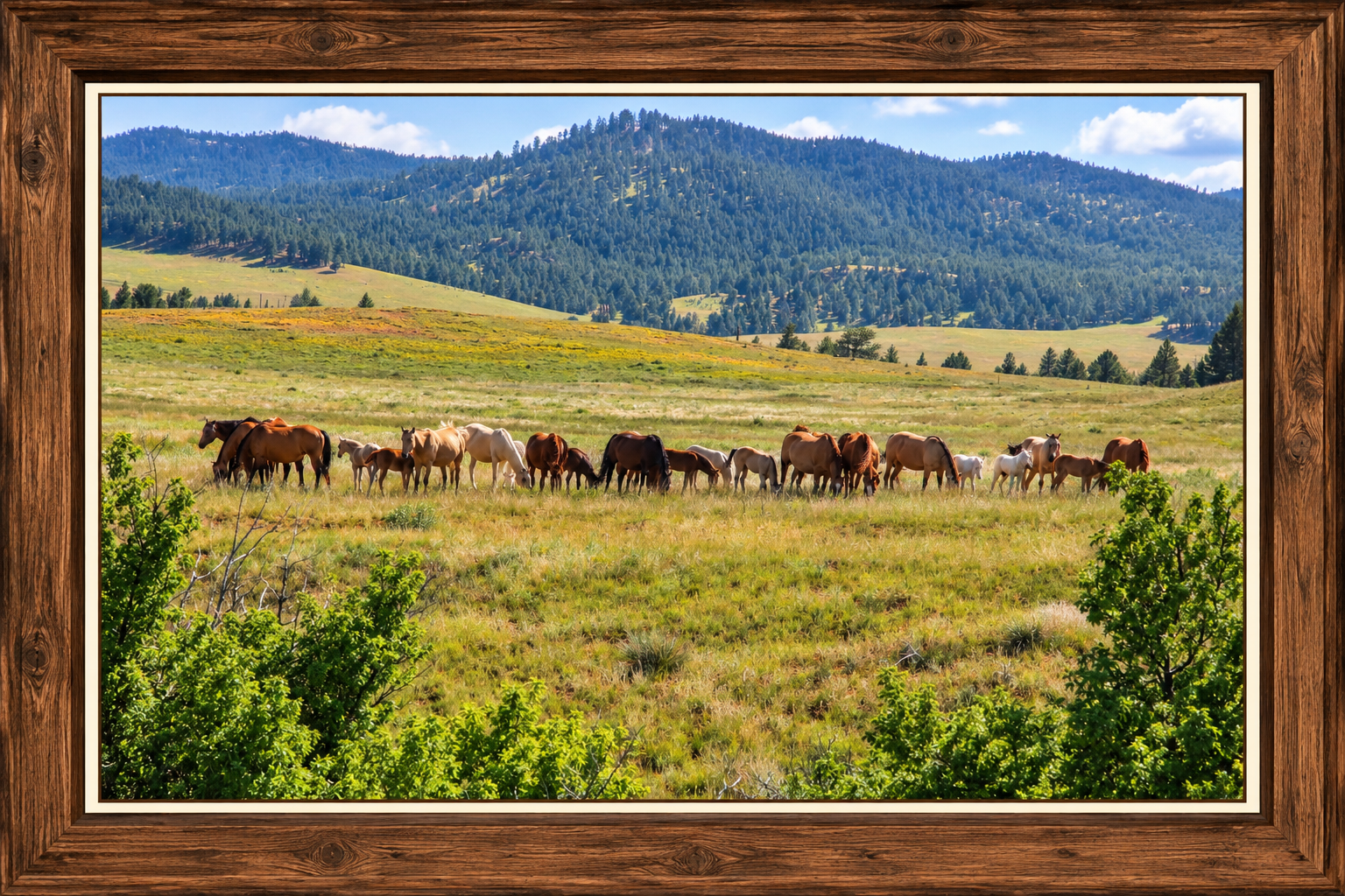 Framed Meadow Horse Herd.png