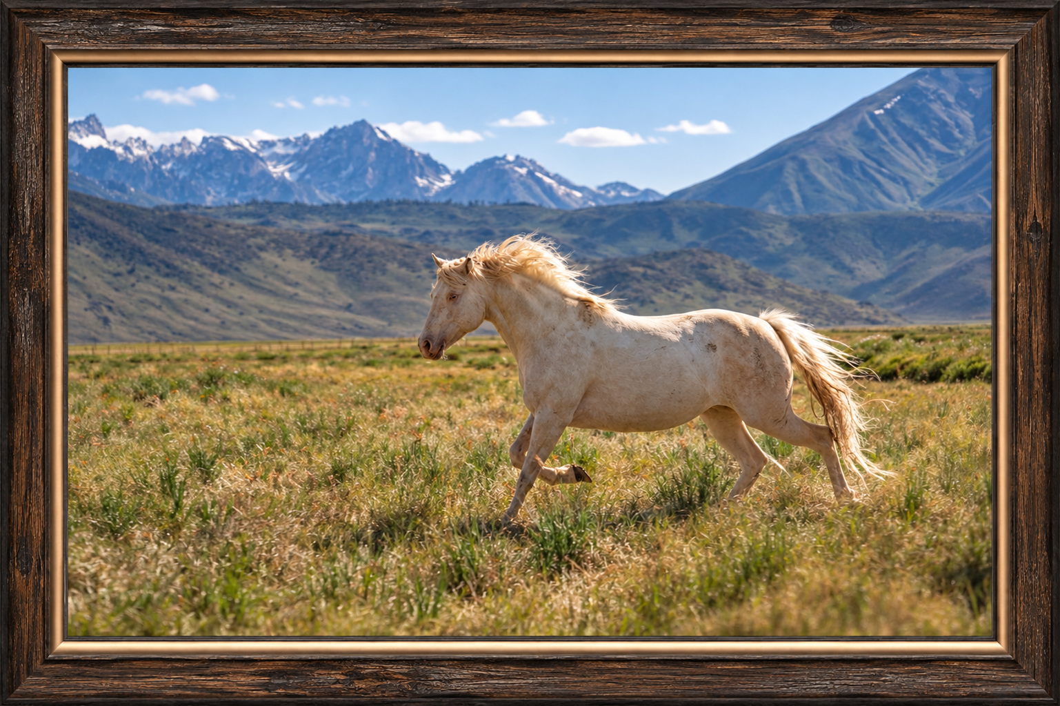 Framed Horse in Mountain Meadow.png