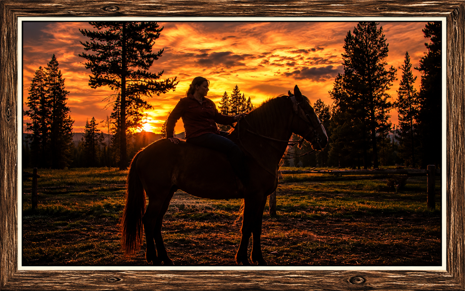 Framed Sunset Rider in Pine Country.png